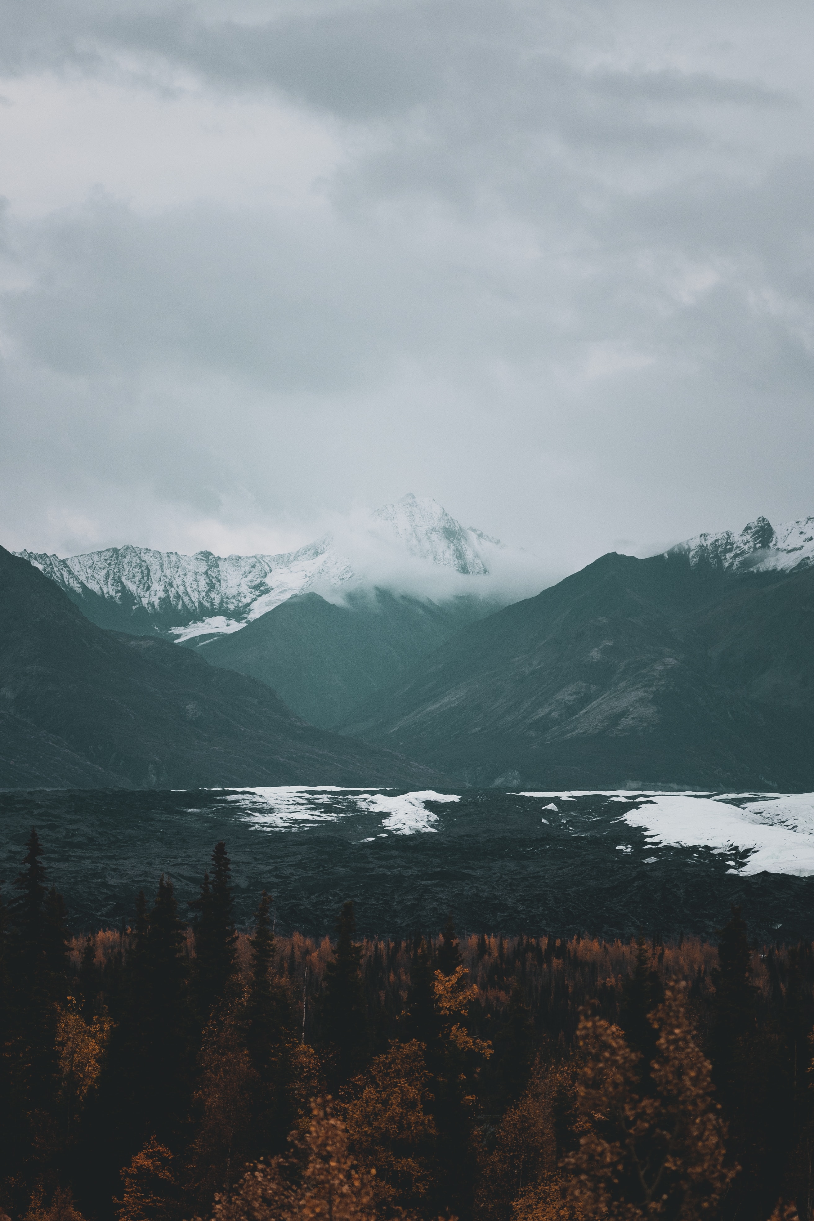 Download mobile wallpaper Vertex, Fog, Tops, Forest, Clouds, Mountains, Nature for free.