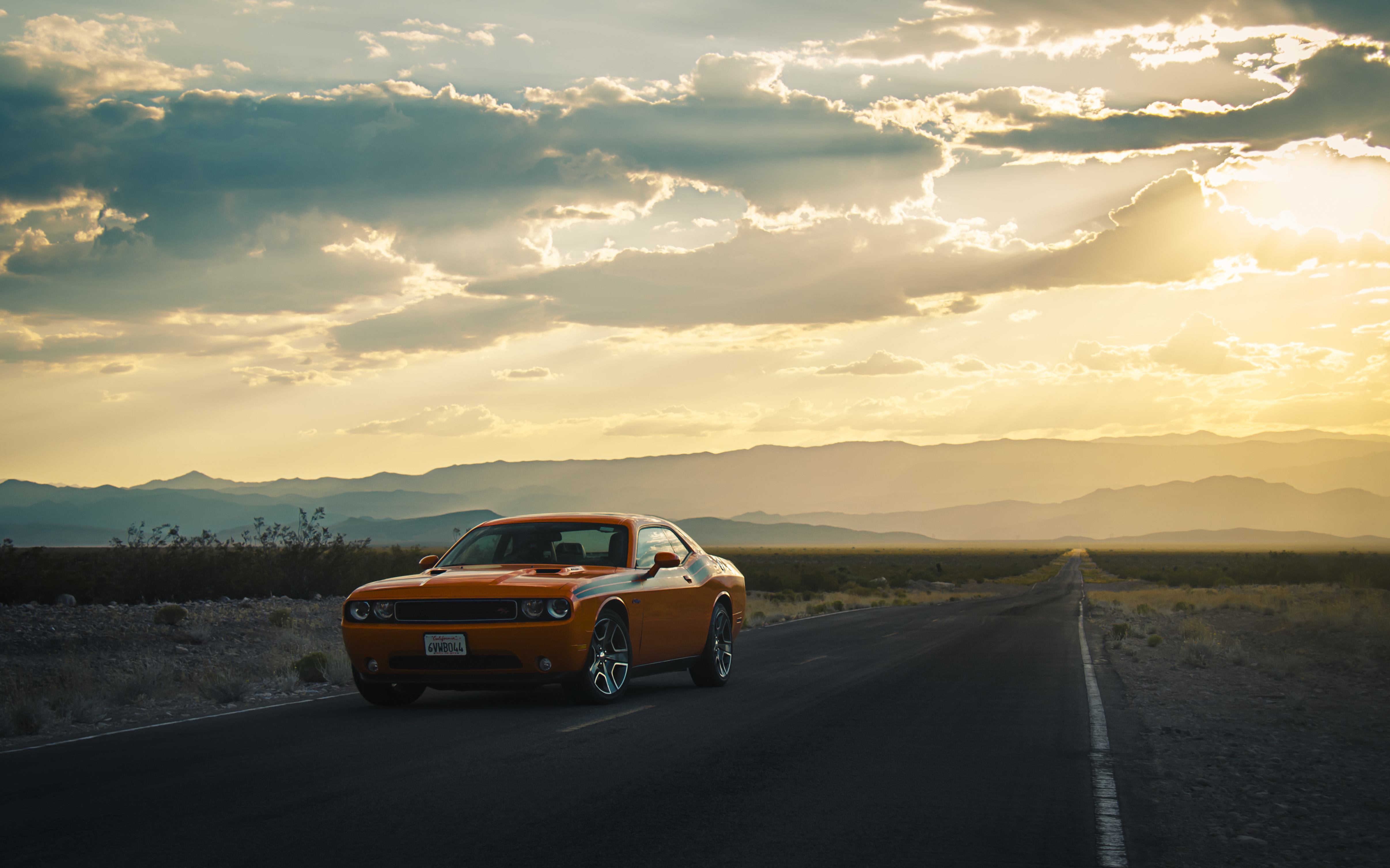 dodge, road, cars, side view, challenger Full HD