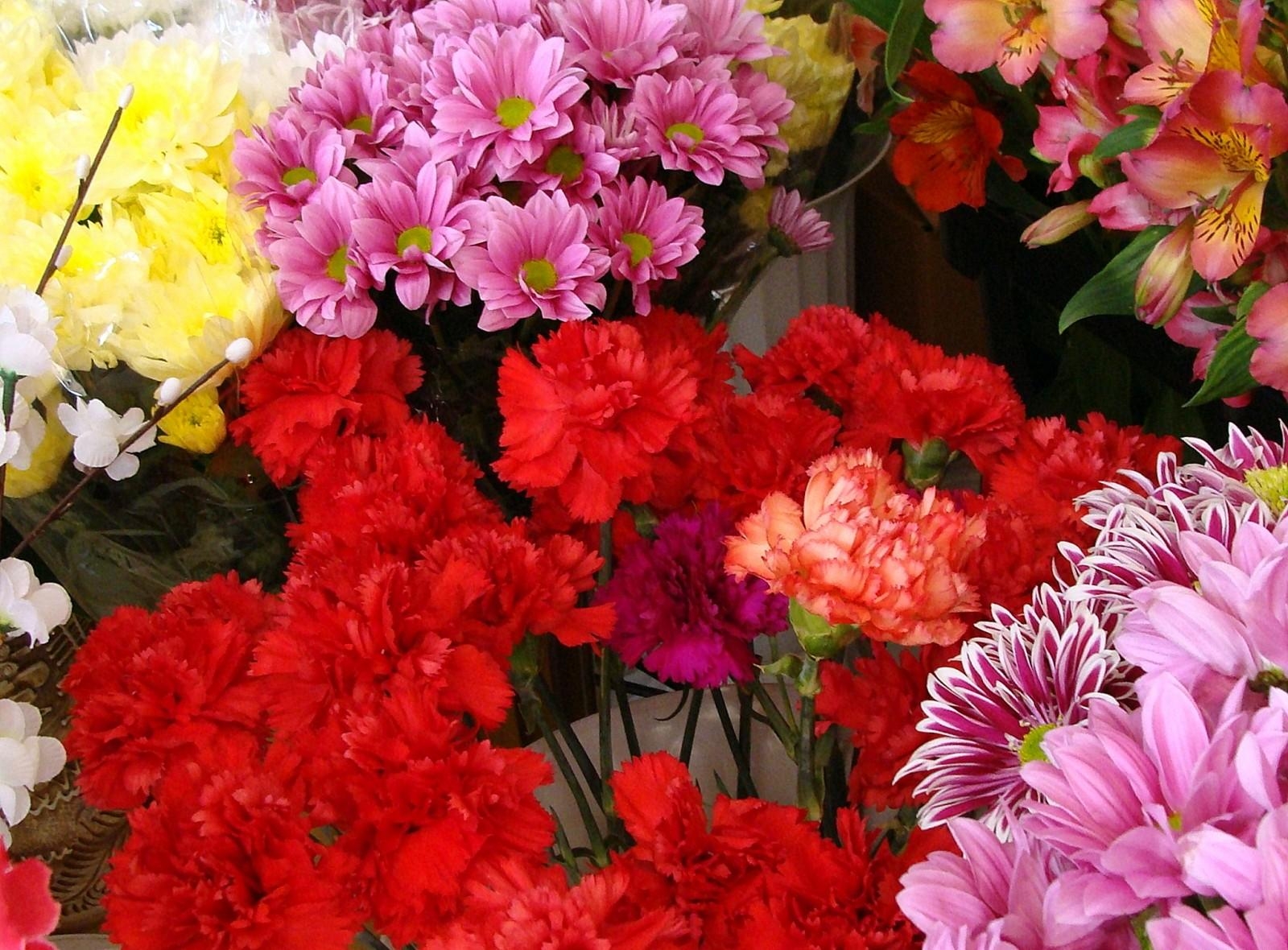 flowers, chrysanthemum, carnations, alstroemeria, counter