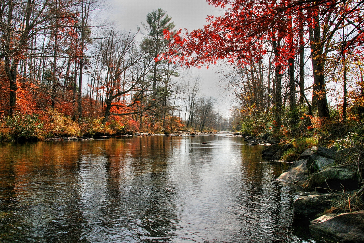 Téléchargez gratuitement l'image Terre/nature, Rivière sur le bureau de votre PC