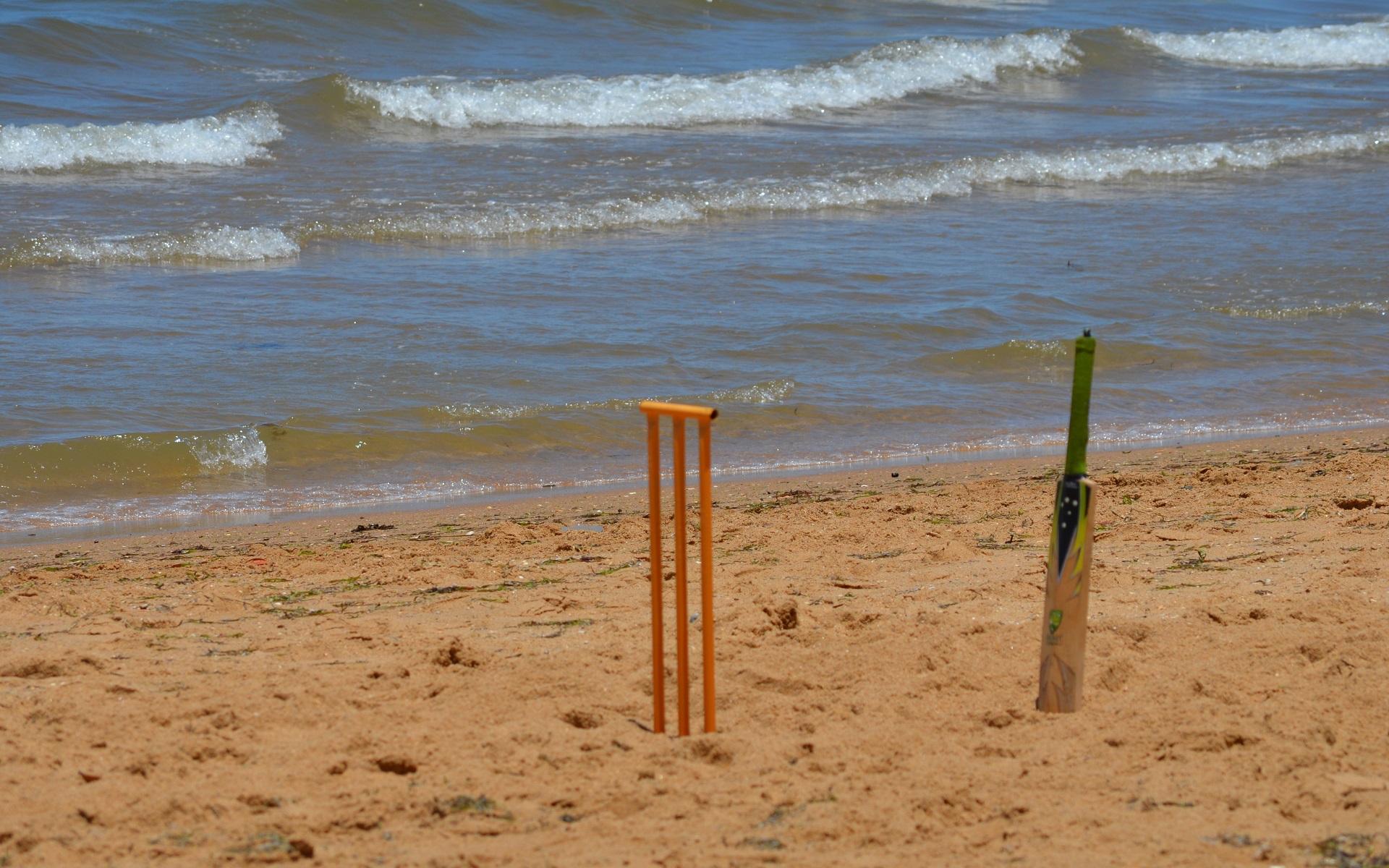 cricket, photography, beach, sand, wave
