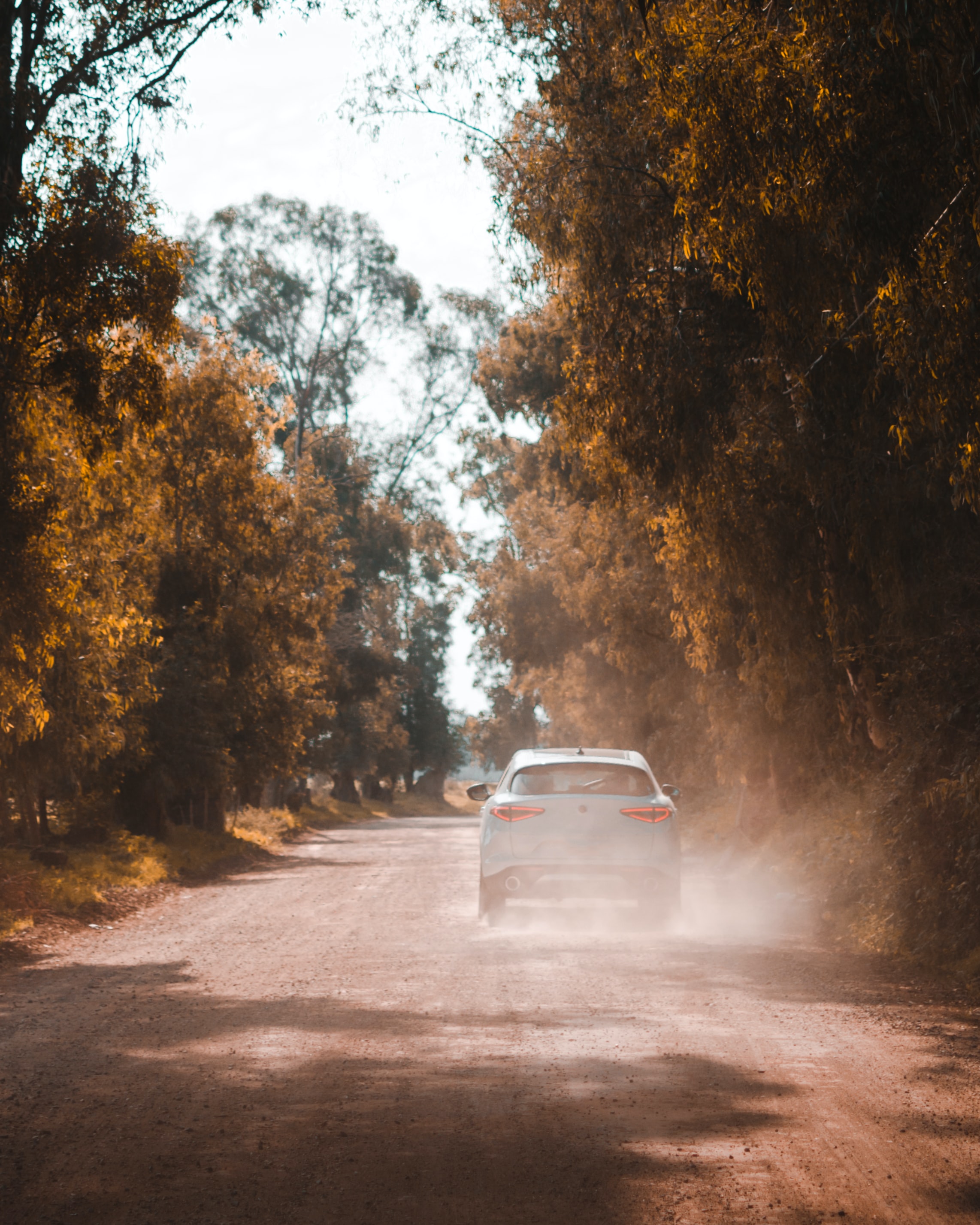 Free download wallpaper Road, Car, Cars, Dust on your PC desktop