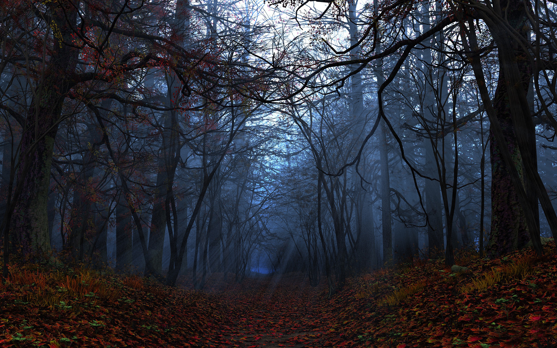 Téléchargez gratuitement l'image Forêt, Terre/nature sur le bureau de votre PC