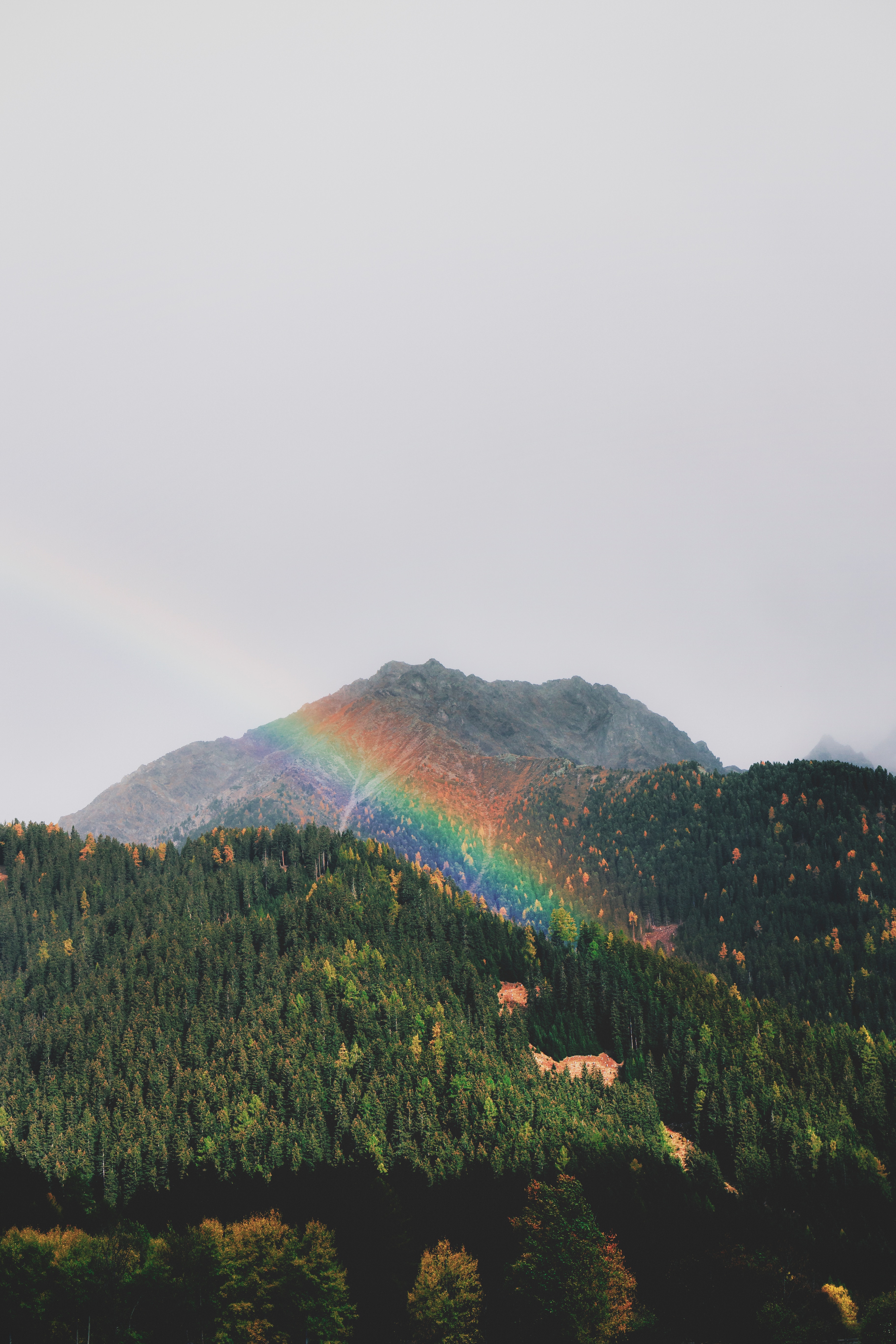 Free download wallpaper Trees, Rainbow, Nature, Forest, Mountains, Landscape on your PC desktop