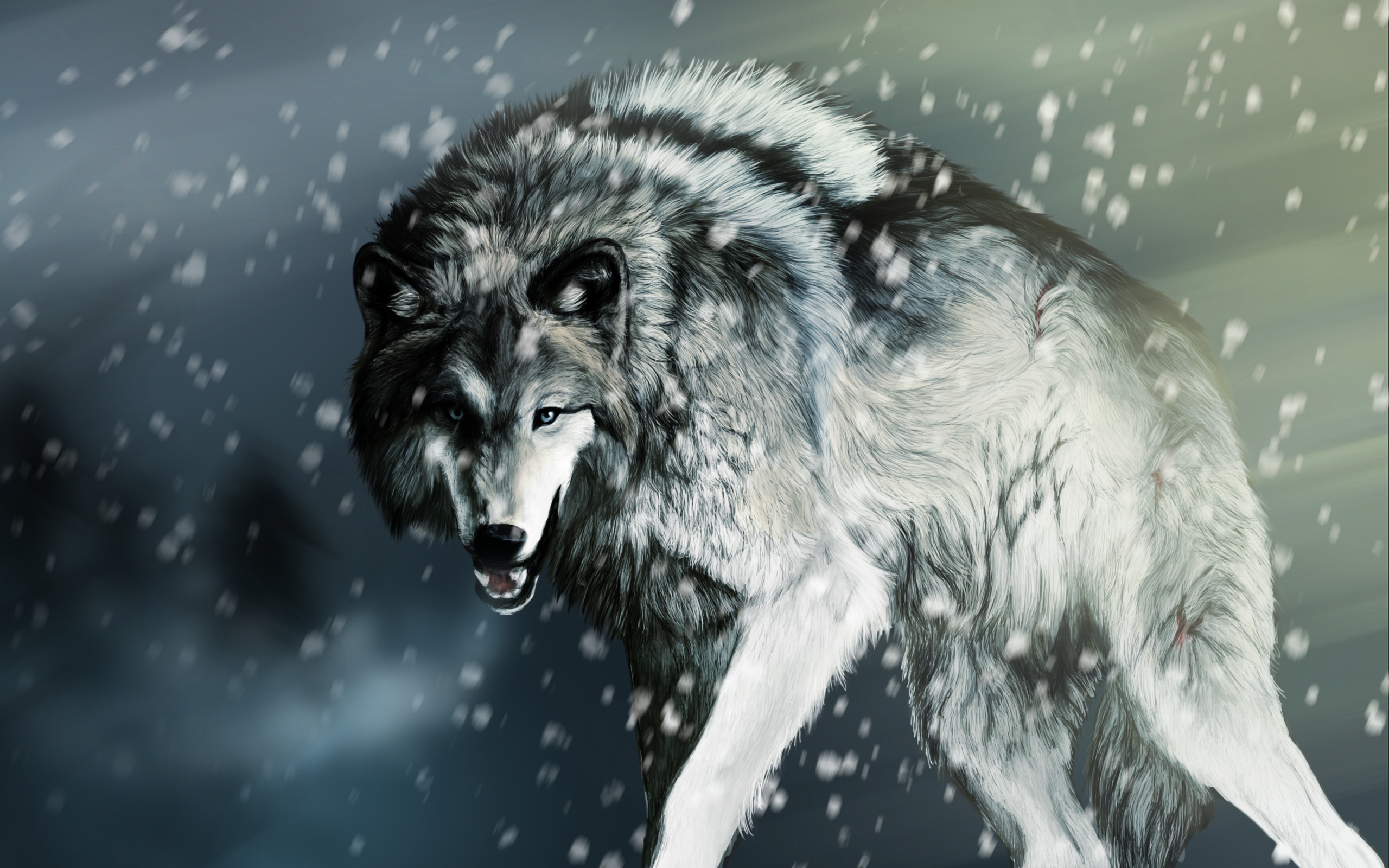 244223 Hintergrundbild herunterladen tiere, wolf, wolves - Bildschirmschoner und Bilder kostenlos