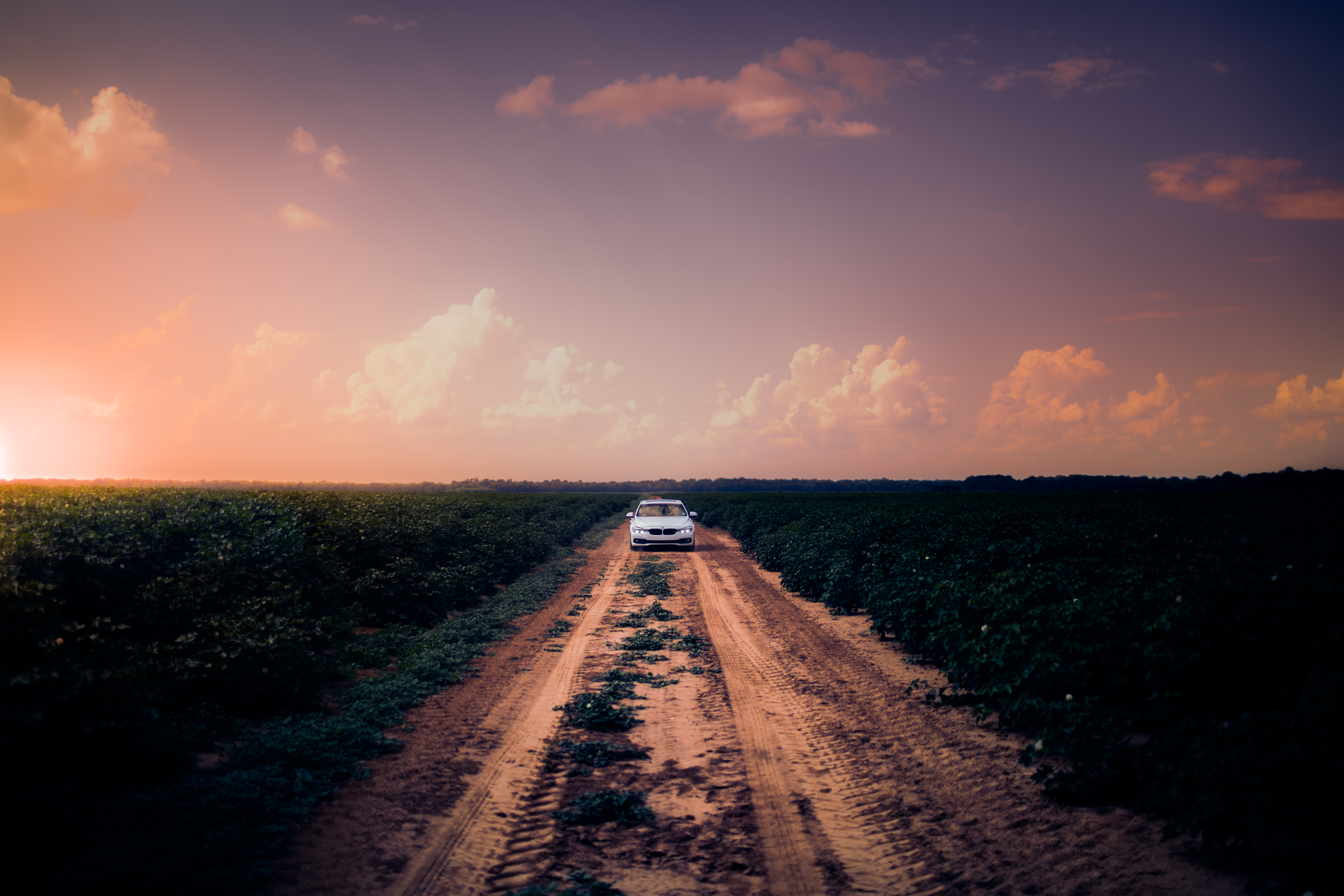 Download mobile wallpaper Field, Road, Sky, Car, Cars for free.