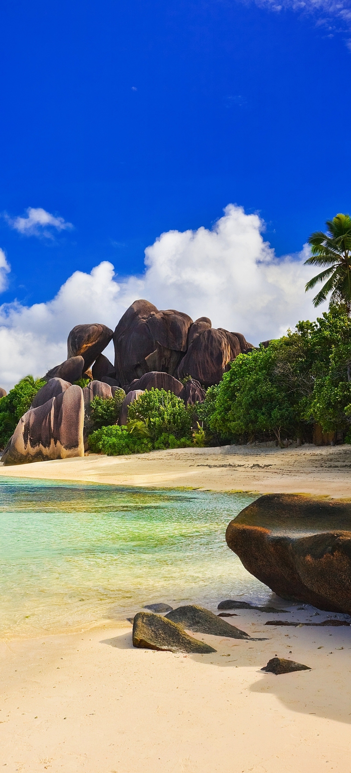 Скачать картинку Пляж, Тропический, Сейшелы, Земля/природа в телефон бесплатно.