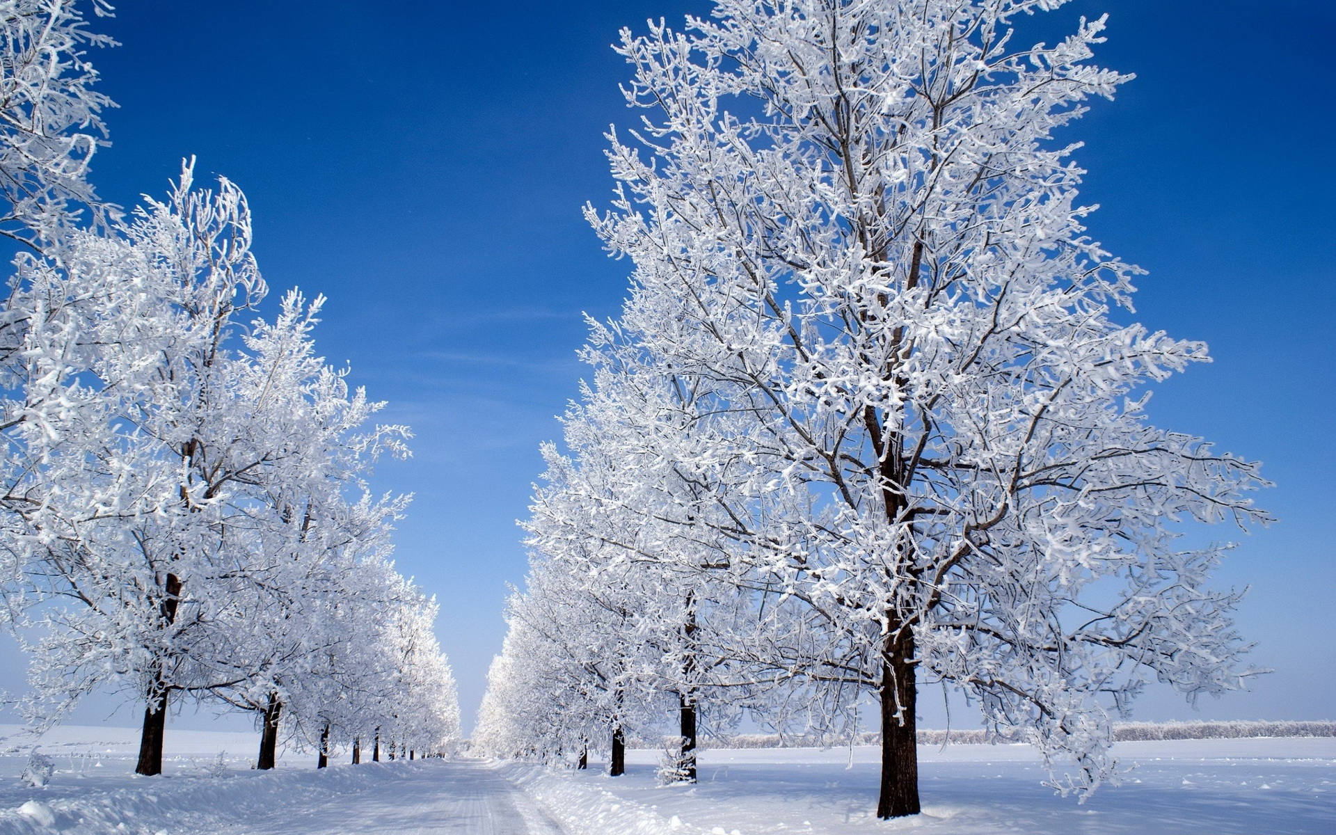 Téléchargez des papiers peints mobile Hiver, Terre/nature gratuitement.