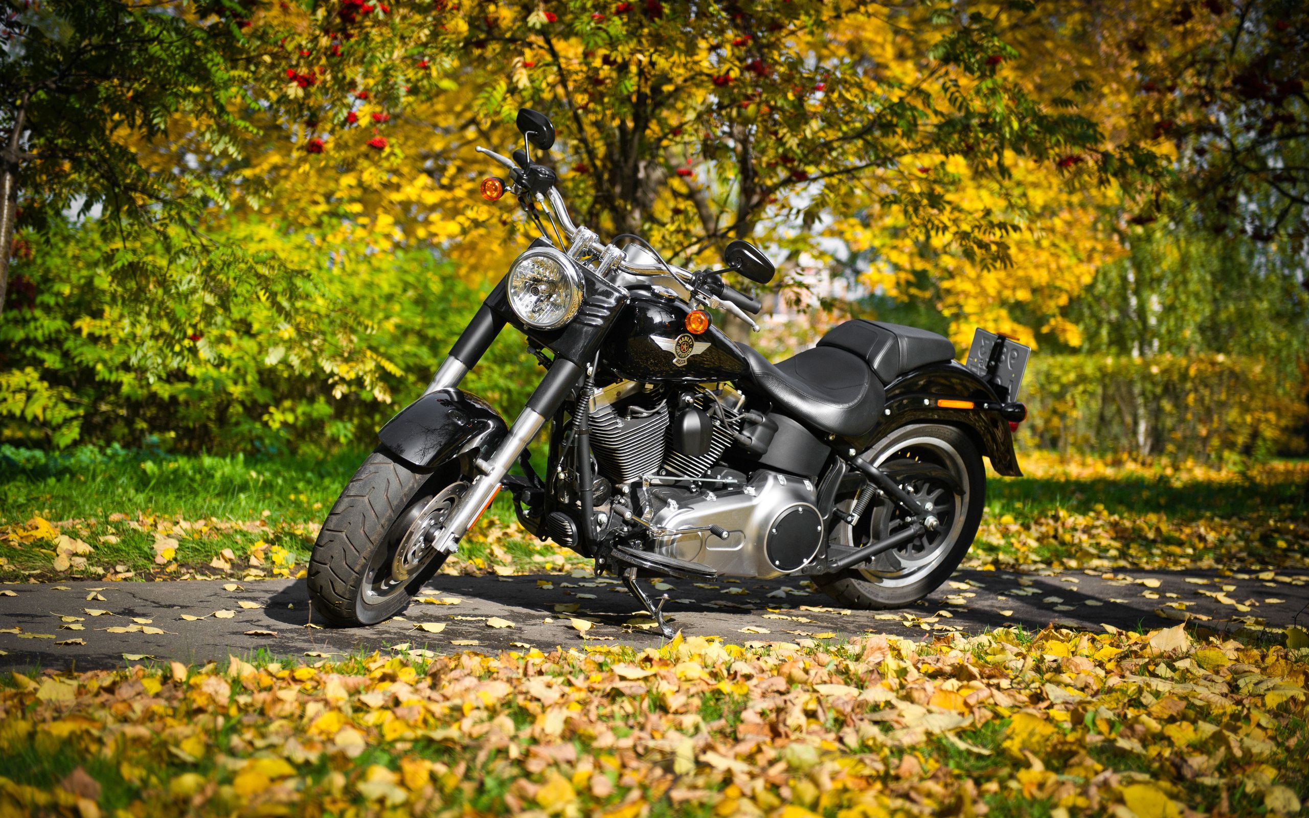 104735 завантажити картинку осінь, листя, мотоцикли, мотоцикл, harley davidson, харлі девідсон - шпалери і заставки безкоштовно