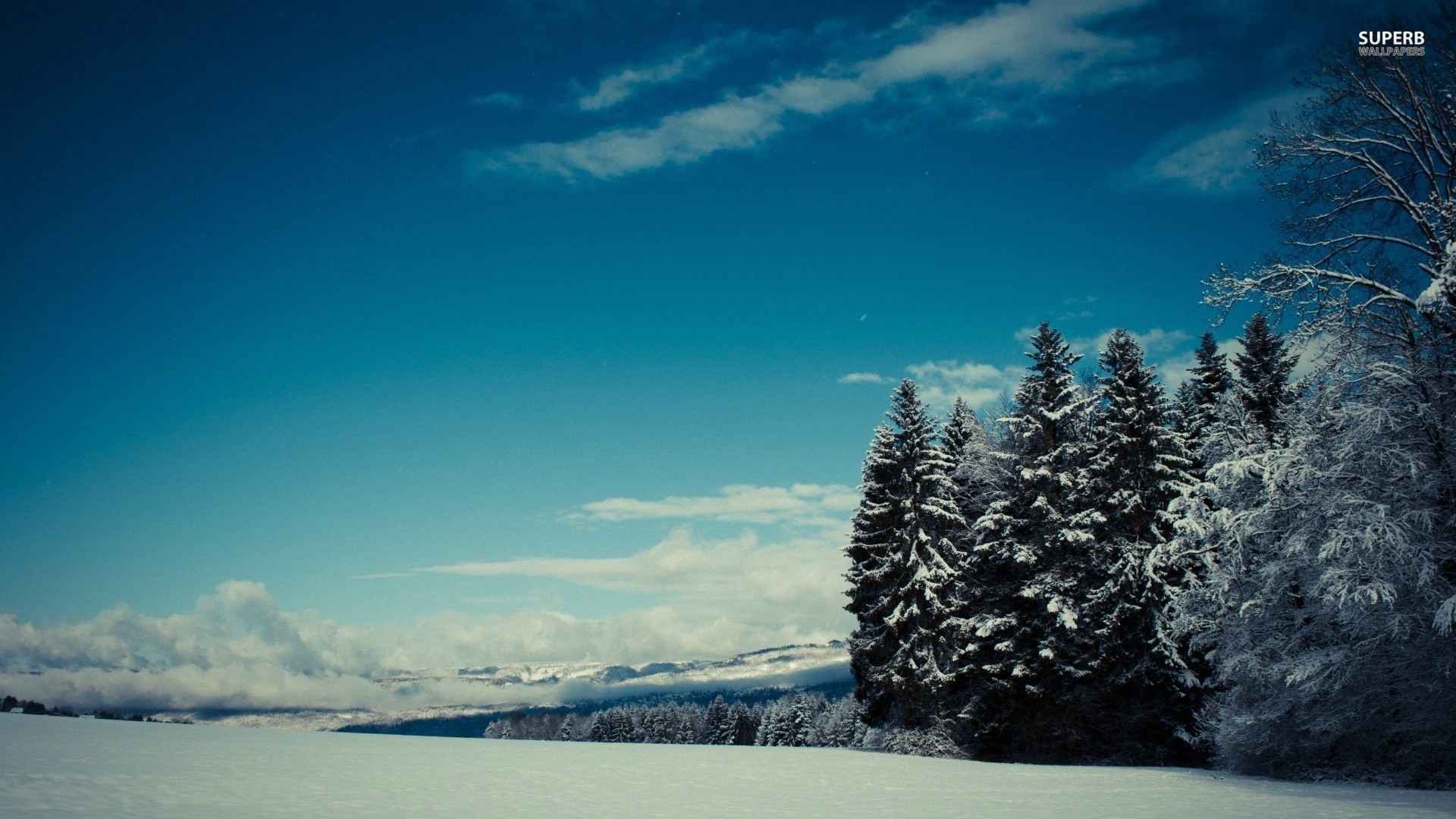 Baixar papel de parede para celular de Inverno, Terra/natureza gratuito.