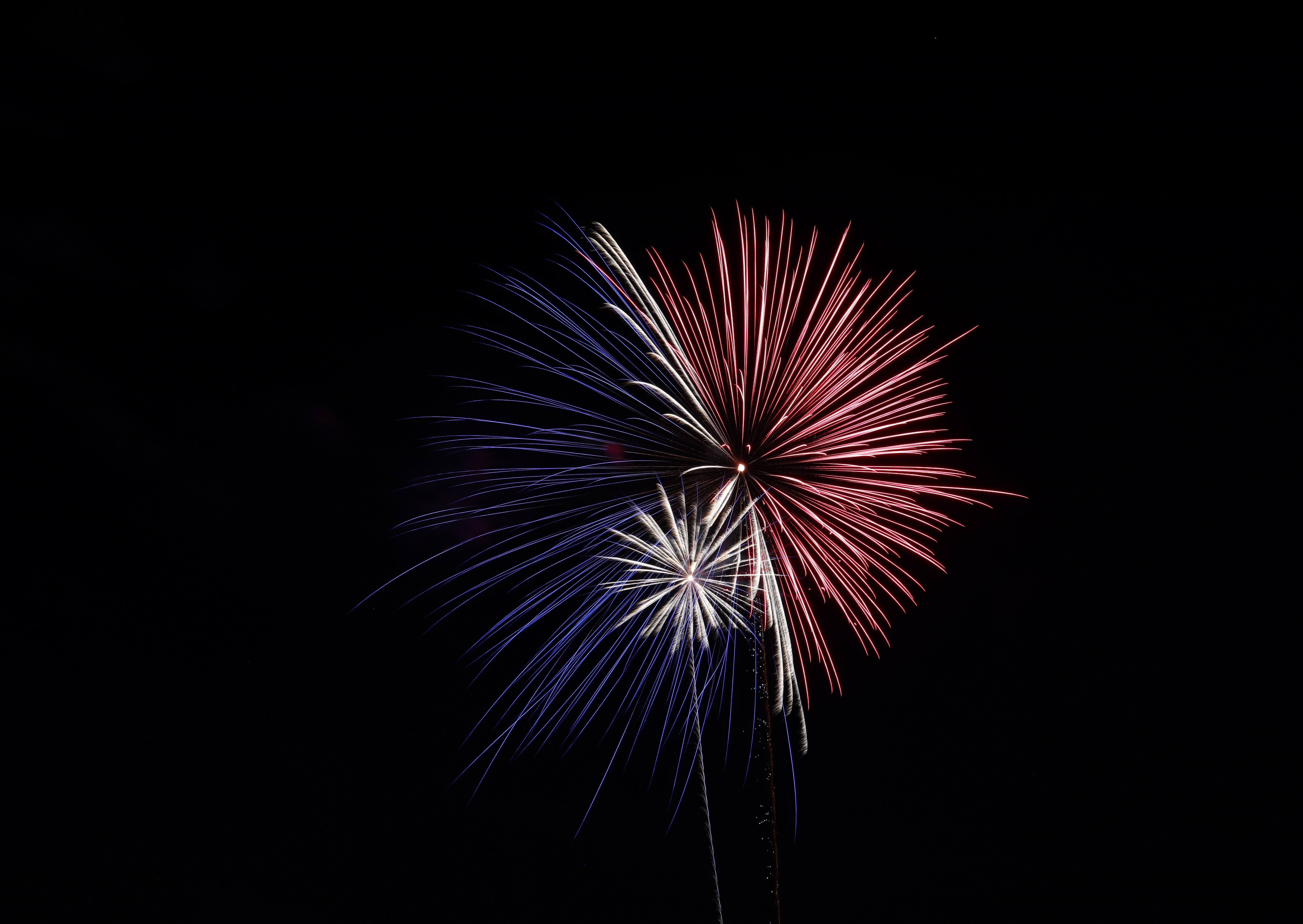 fireworks, holidays, night, salute, sparks, firework