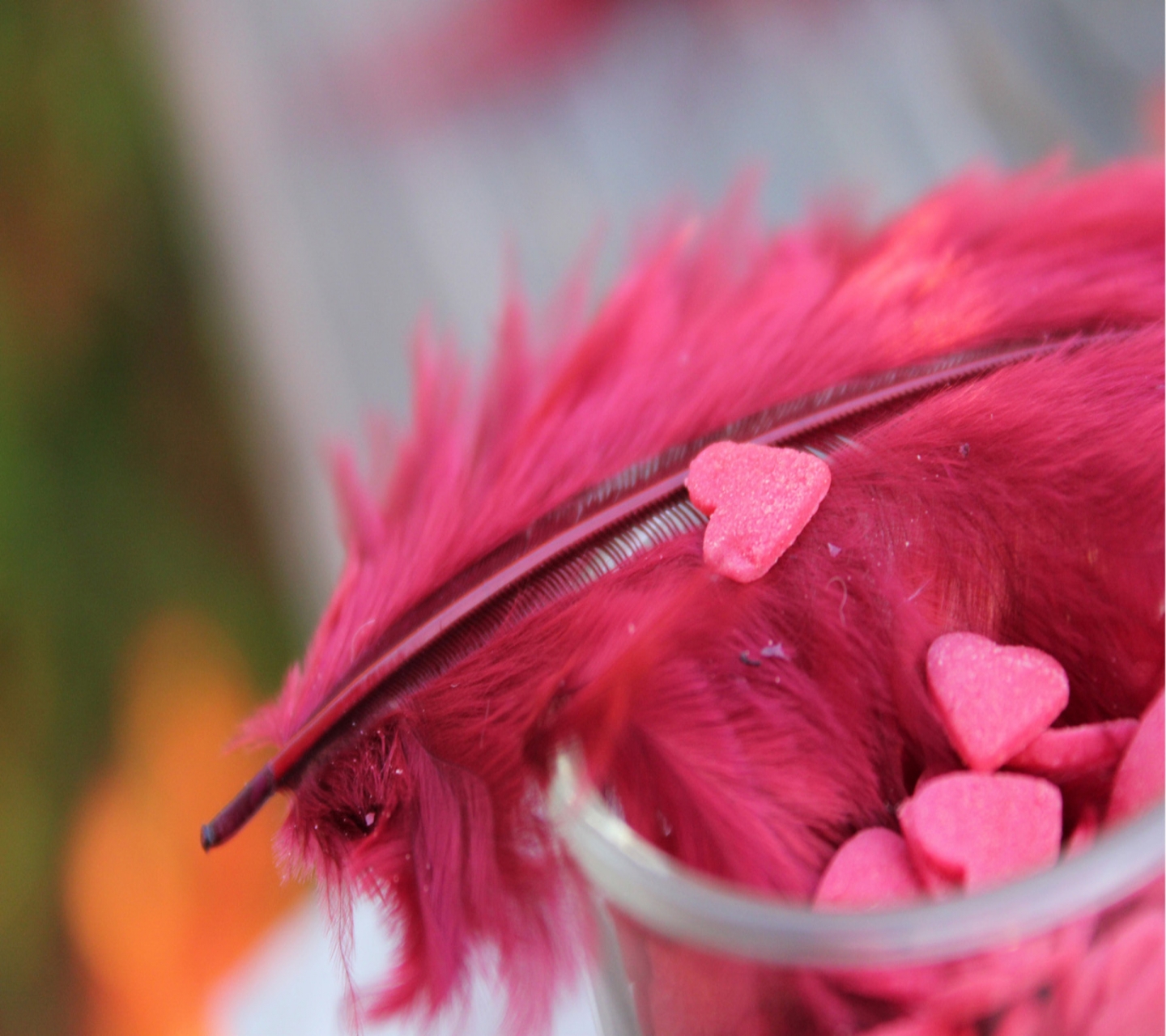 Download mobile wallpaper Valentine's Day, Love, Feather, Heart, Photography, Romantic for free.