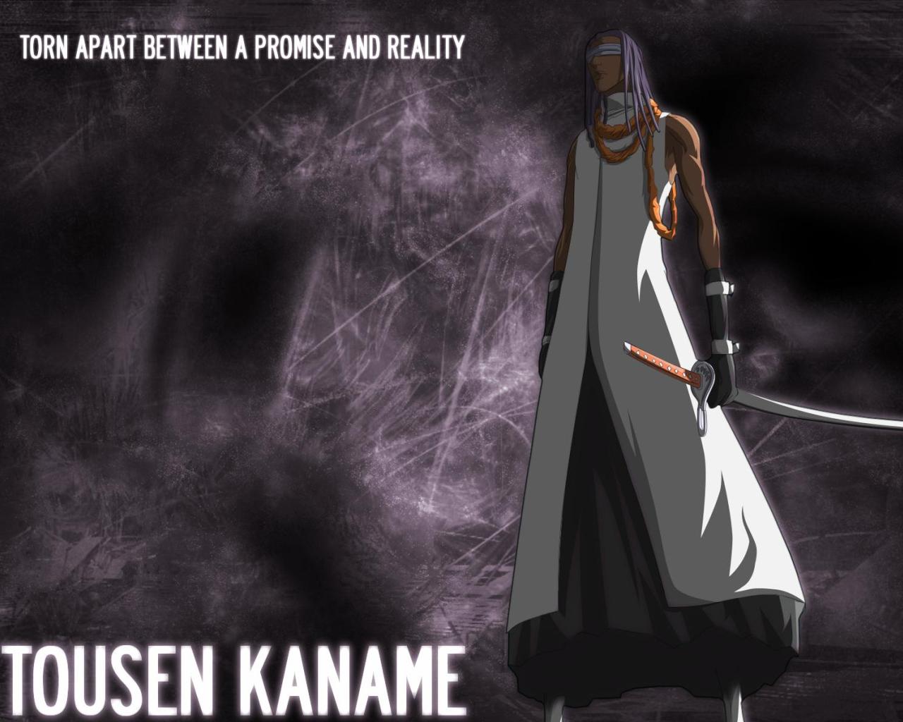 Free download wallpaper Anime, Bleach, Kaname Tosen on your PC desktop