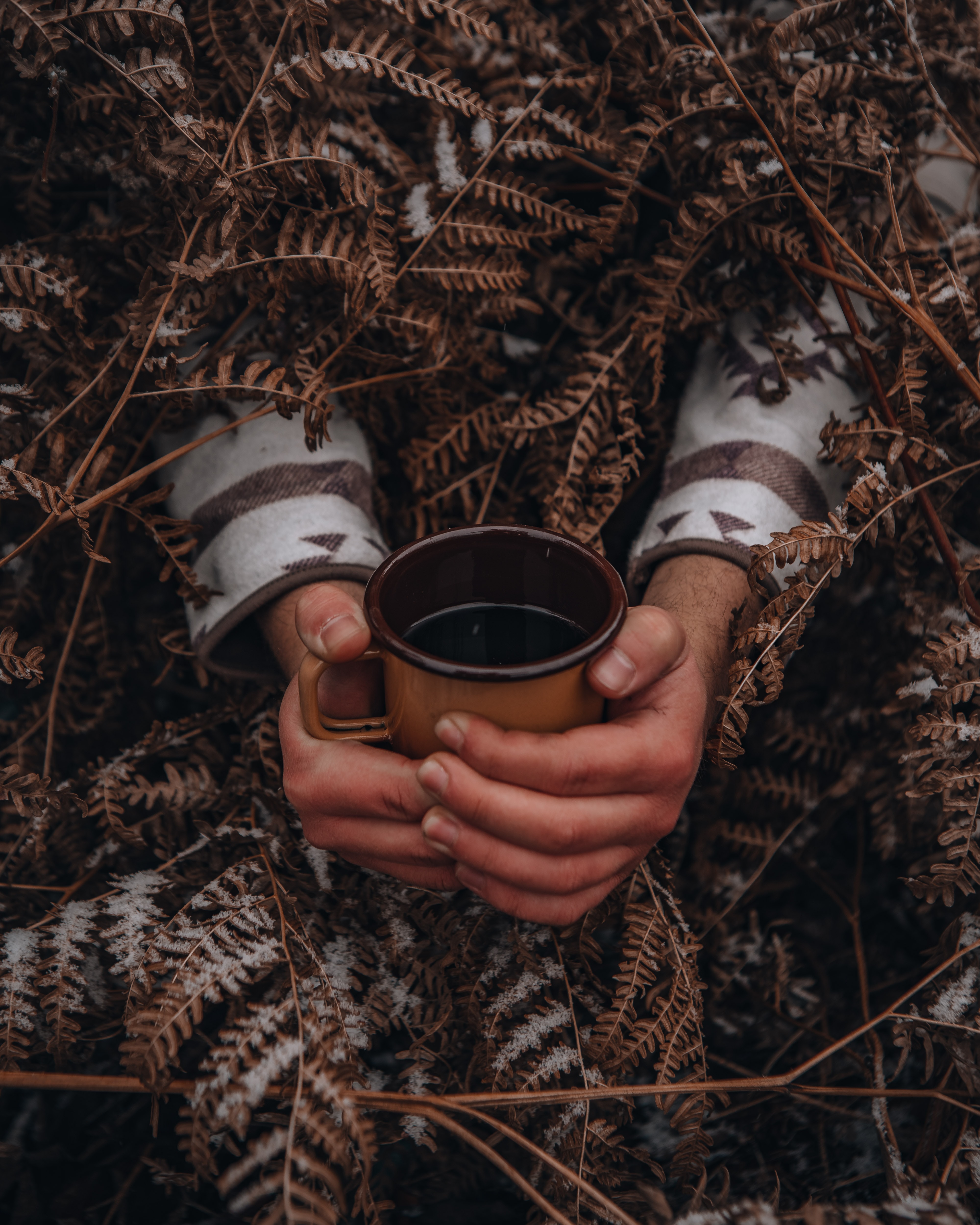 cup, miscellanea, snow, miscellaneous, fern, hands, mug