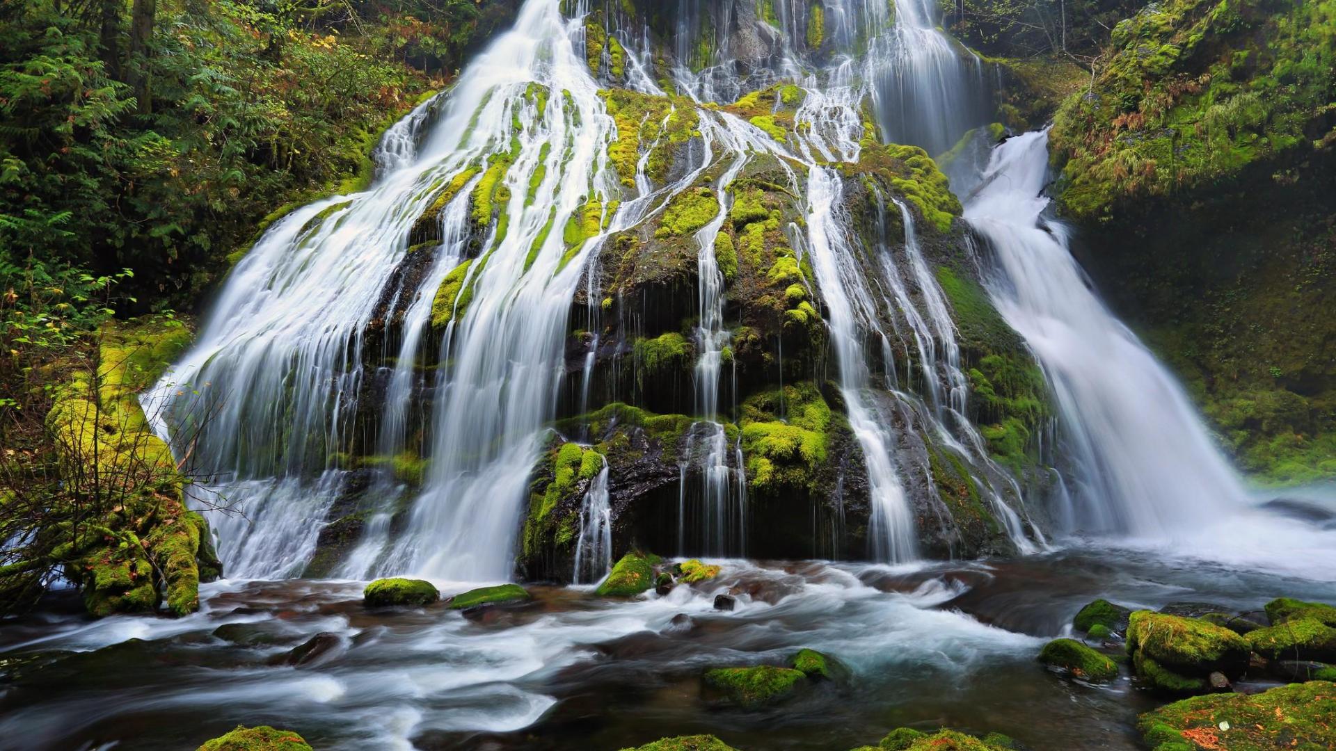 Скачать обои бесплатно Водопады, Водопад, Лес, Зеленый, Мох, Земля/природа картинка на рабочий стол ПК