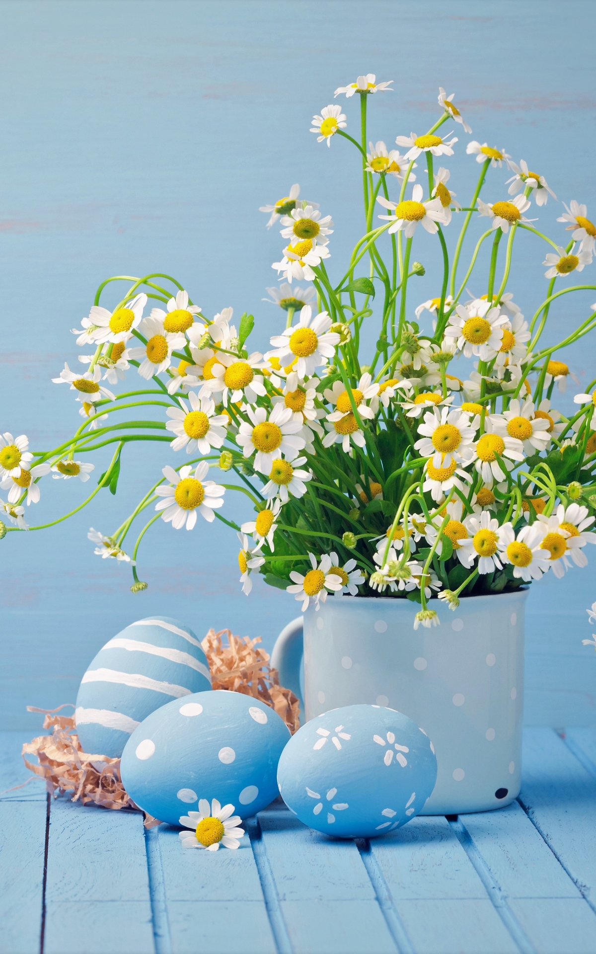 Handy-Wallpaper Feiertage, Ostern, Kamille, Blume, Weiße Blume, Osterei kostenlos herunterladen.