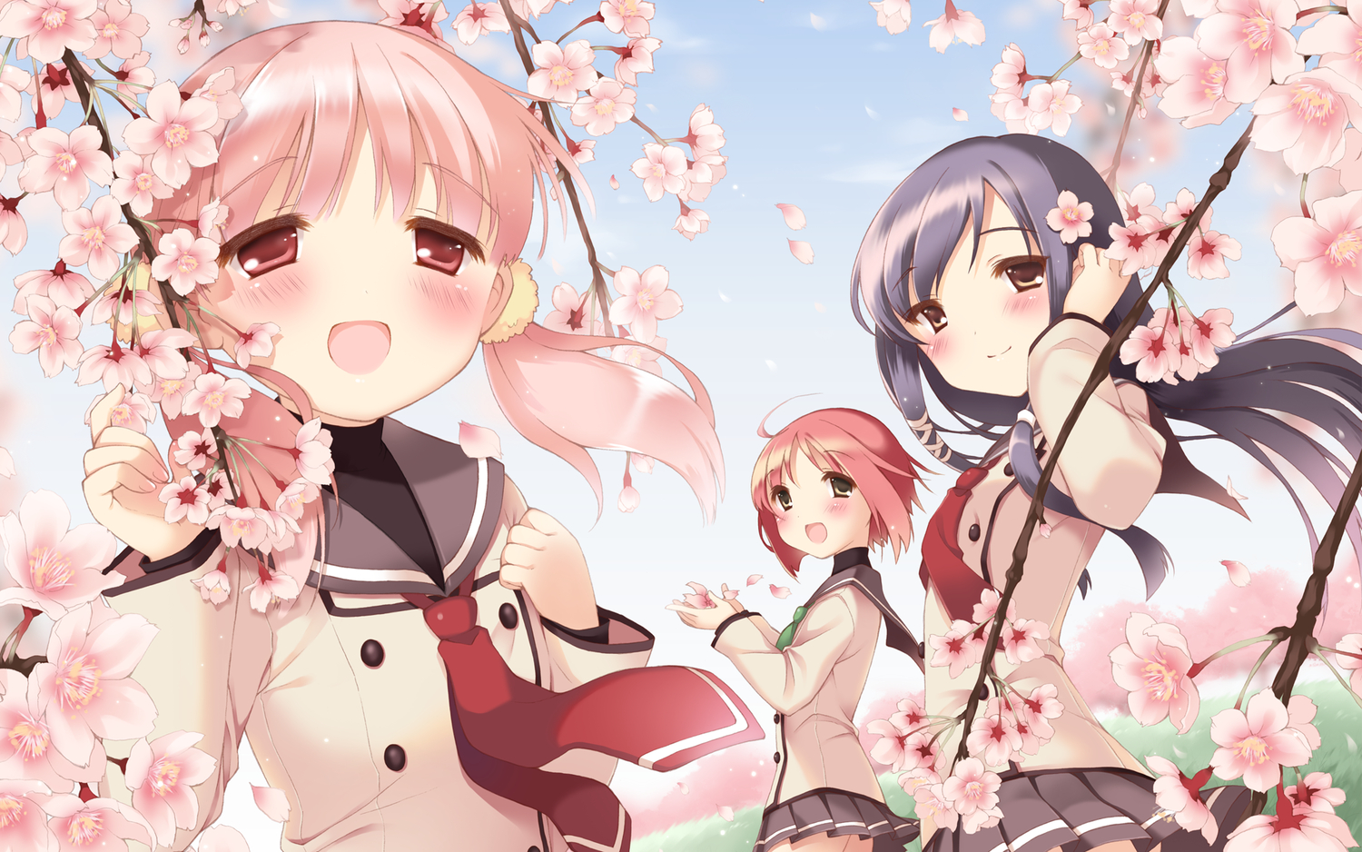 230384 descargar fondo de pantalla animado, sakura musubi: protectores de pantalla e imágenes gratis