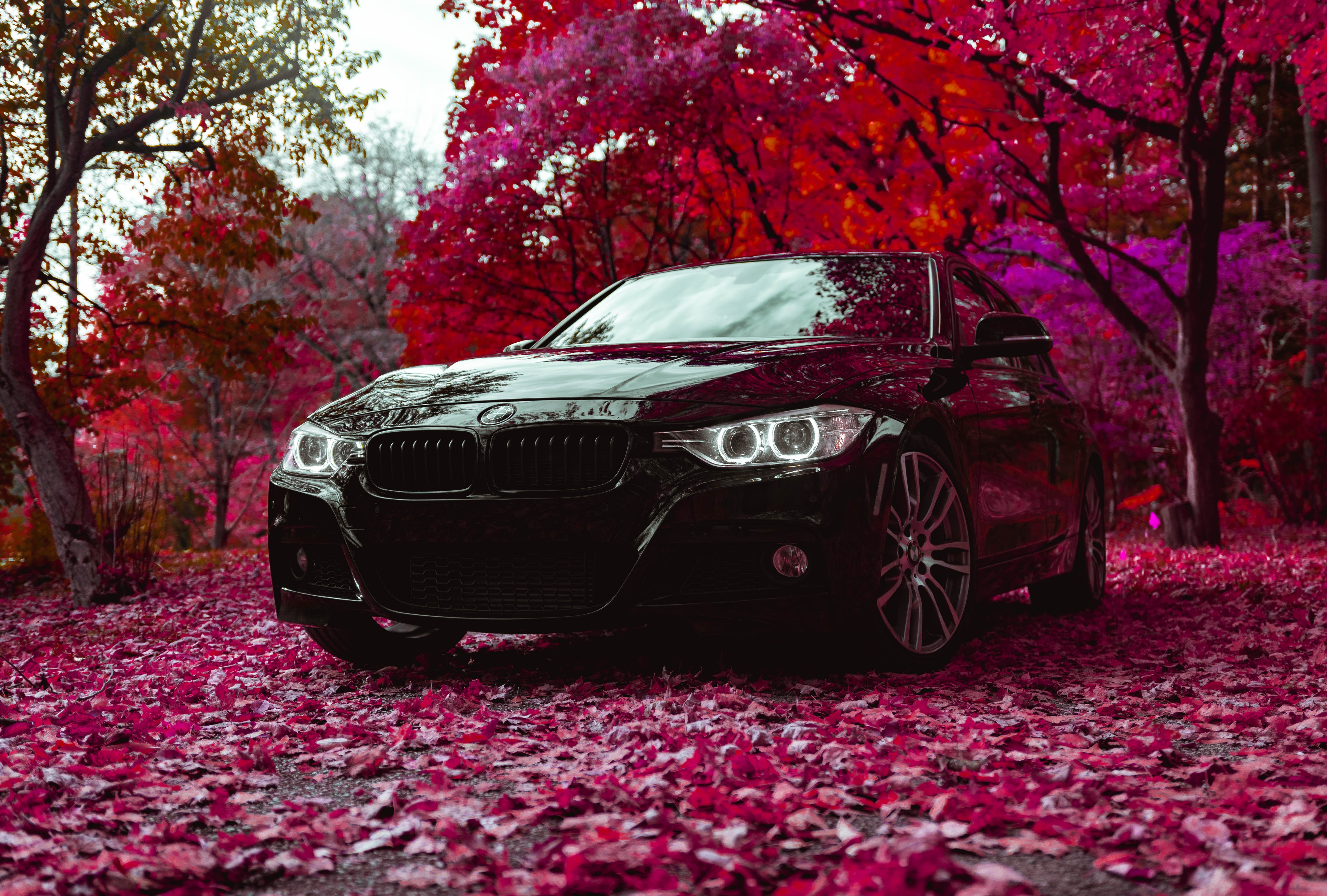New Lock Screen Wallpapers bmw, cars, black, car, front view, machine, bmw f30 335i