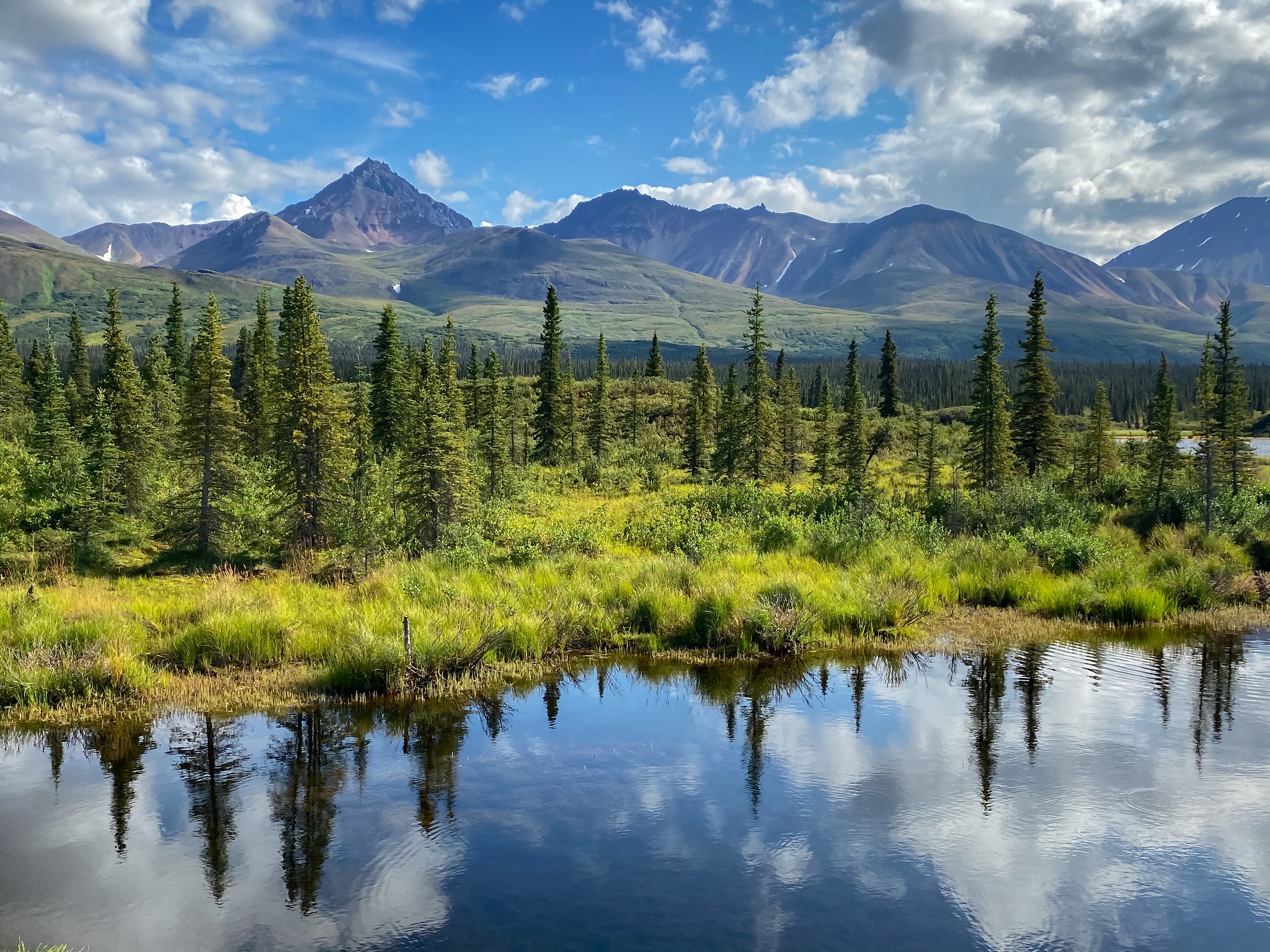 Download mobile wallpaper Mountains, Mountain, Reflection, Tree, Earth, Cloud, River, Alaska for free.
