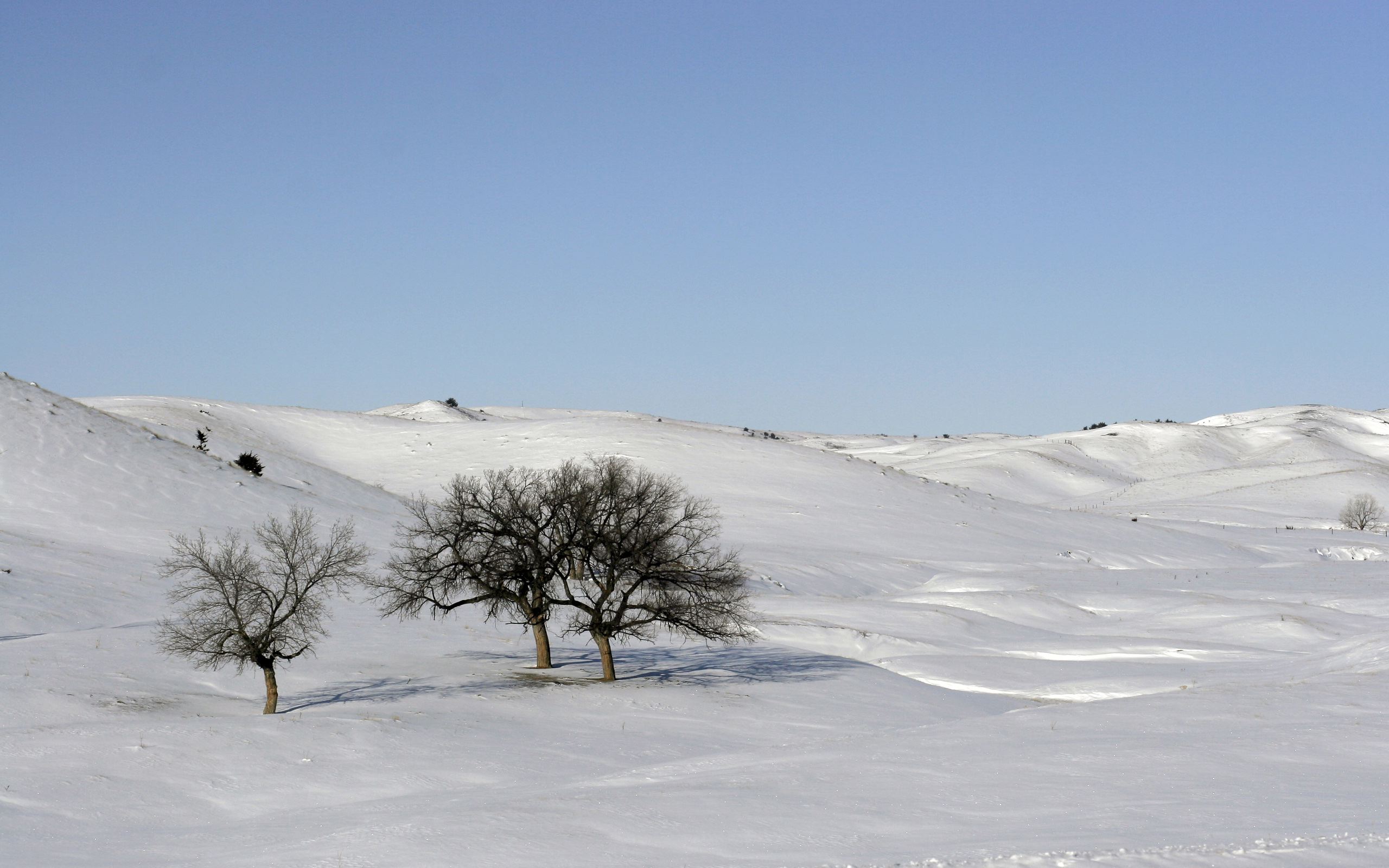 Скачать картинку Зима, Снег, Земля/природа в телефон бесплатно.