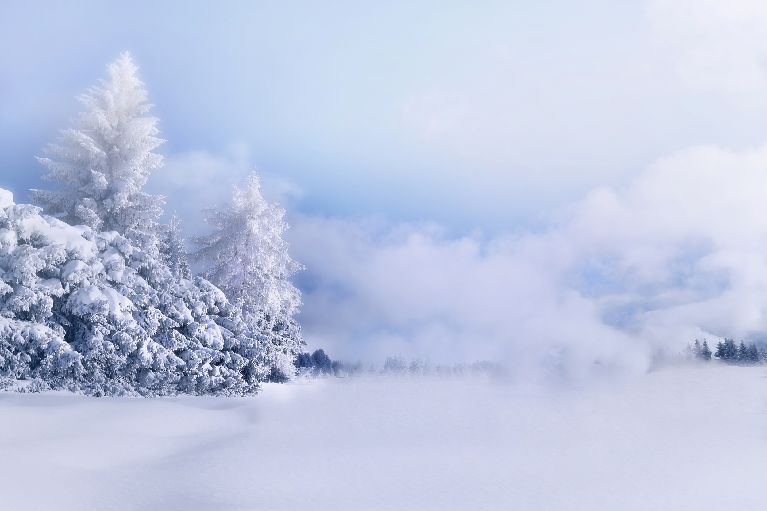 Handy-Wallpaper Winter, Natur, Schnee, Baum, Nebel, Erde/natur kostenlos herunterladen.