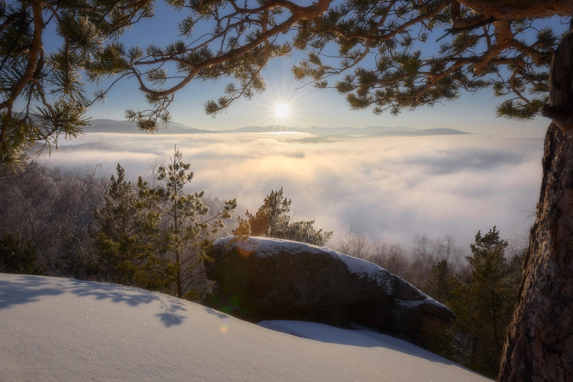 Handy-Wallpaper Winter, Natur, Nebel, Erde/natur kostenlos herunterladen.