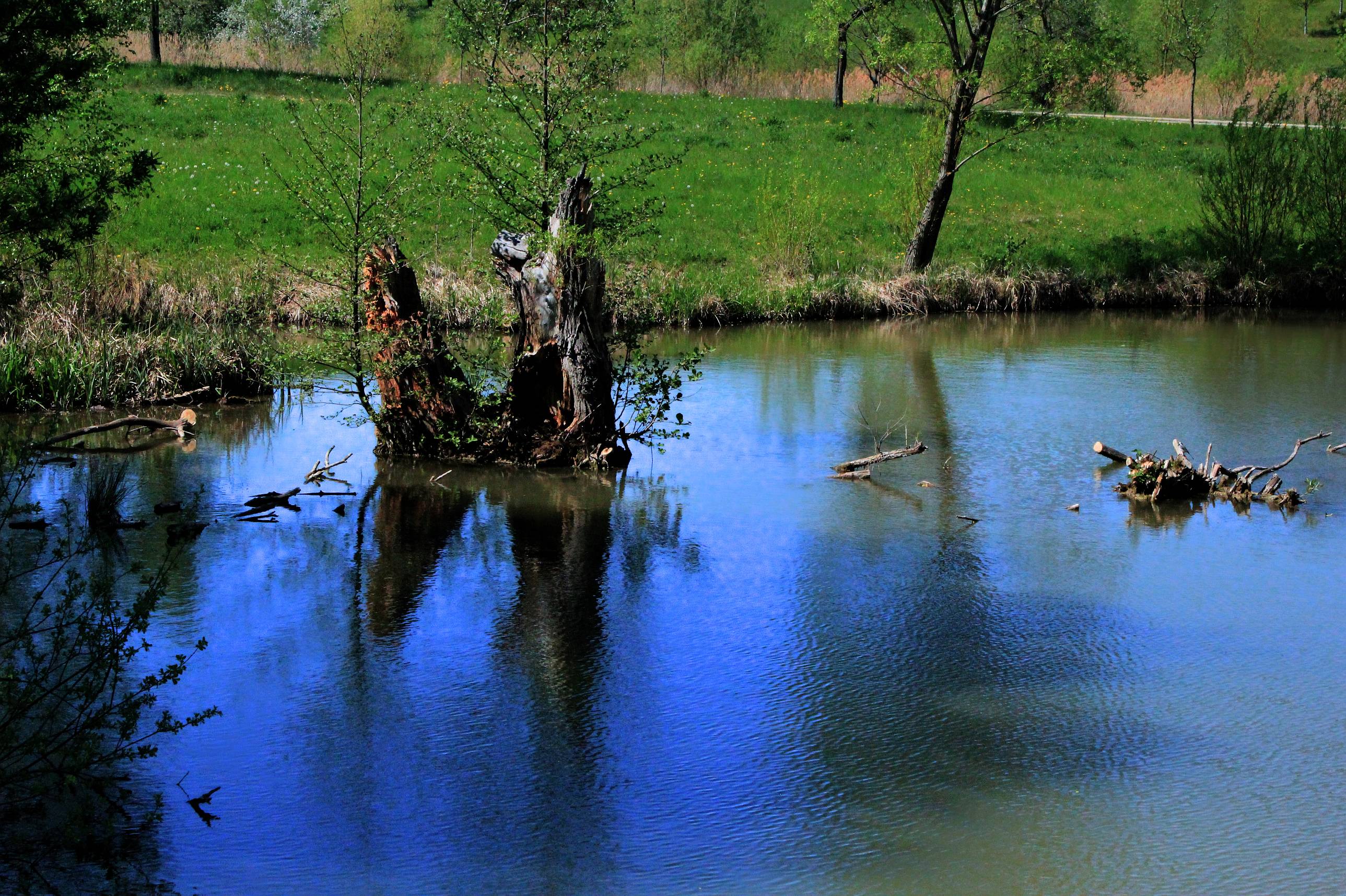 Baixar papel de parede para celular de Lago, Terra/natureza gratuito.