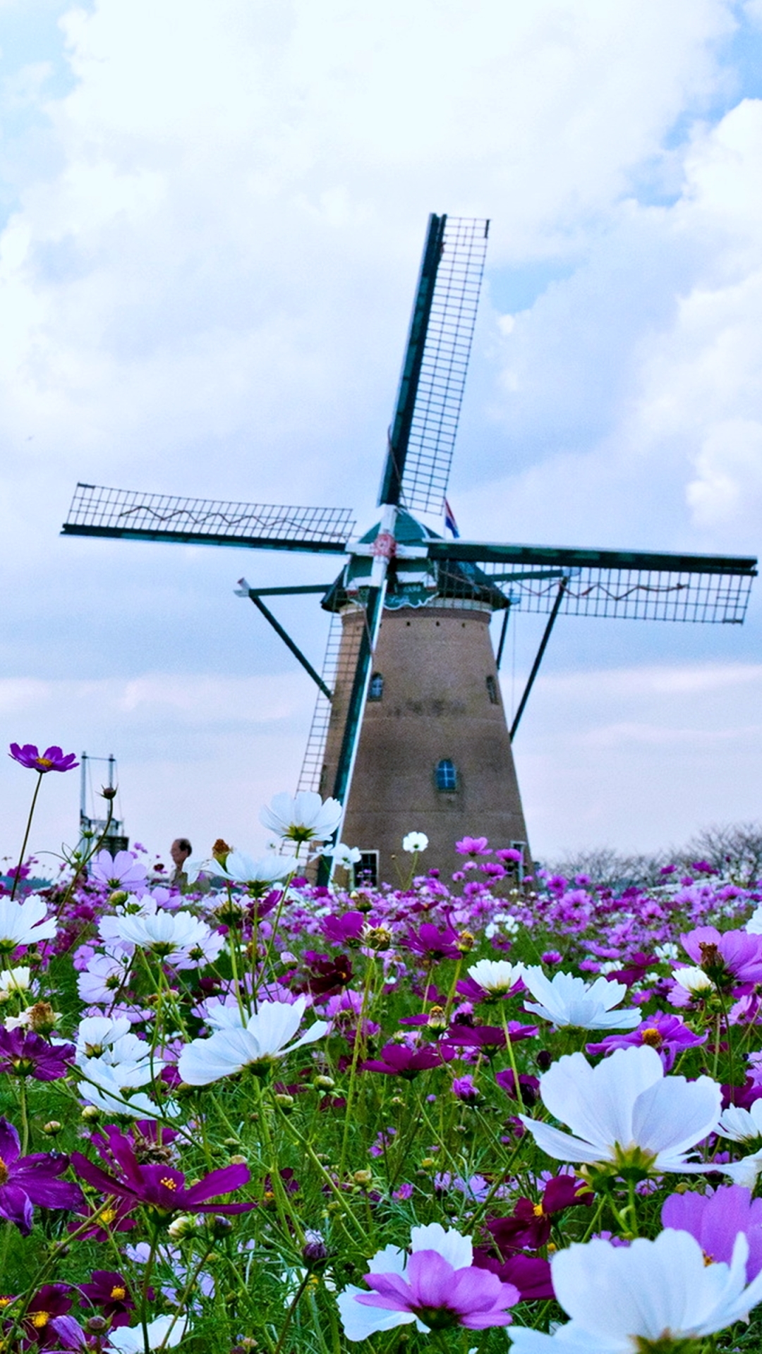 Download mobile wallpaper Nature, Flower, Spring, Windmill, Man Made for free.