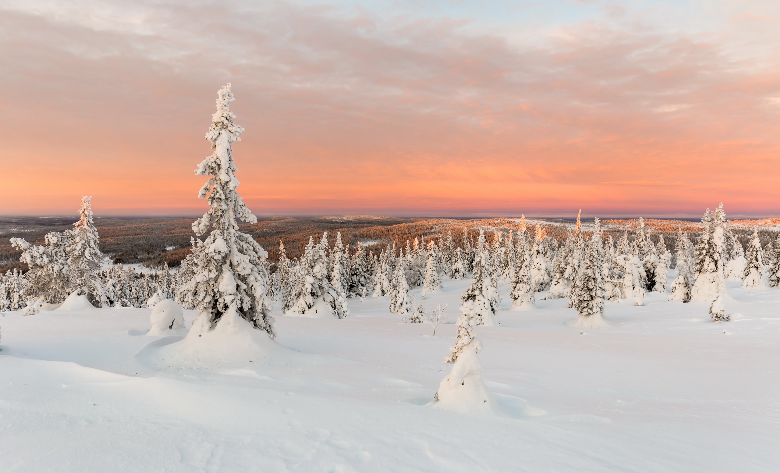 PCデスクトップに風景, 冬, 自然, 木, 日没, 雪, 地平線, 森, 地球, クラウド画像を無料でダウンロード