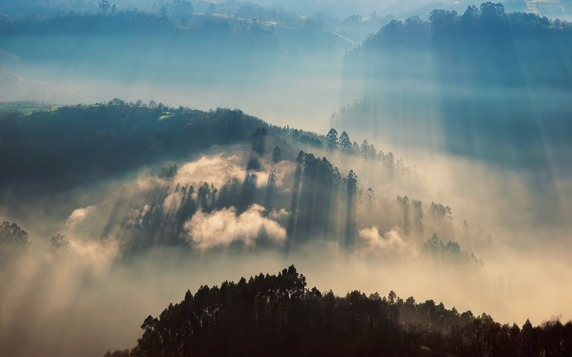 Handy-Wallpaper Nebel, Erde/natur kostenlos herunterladen.