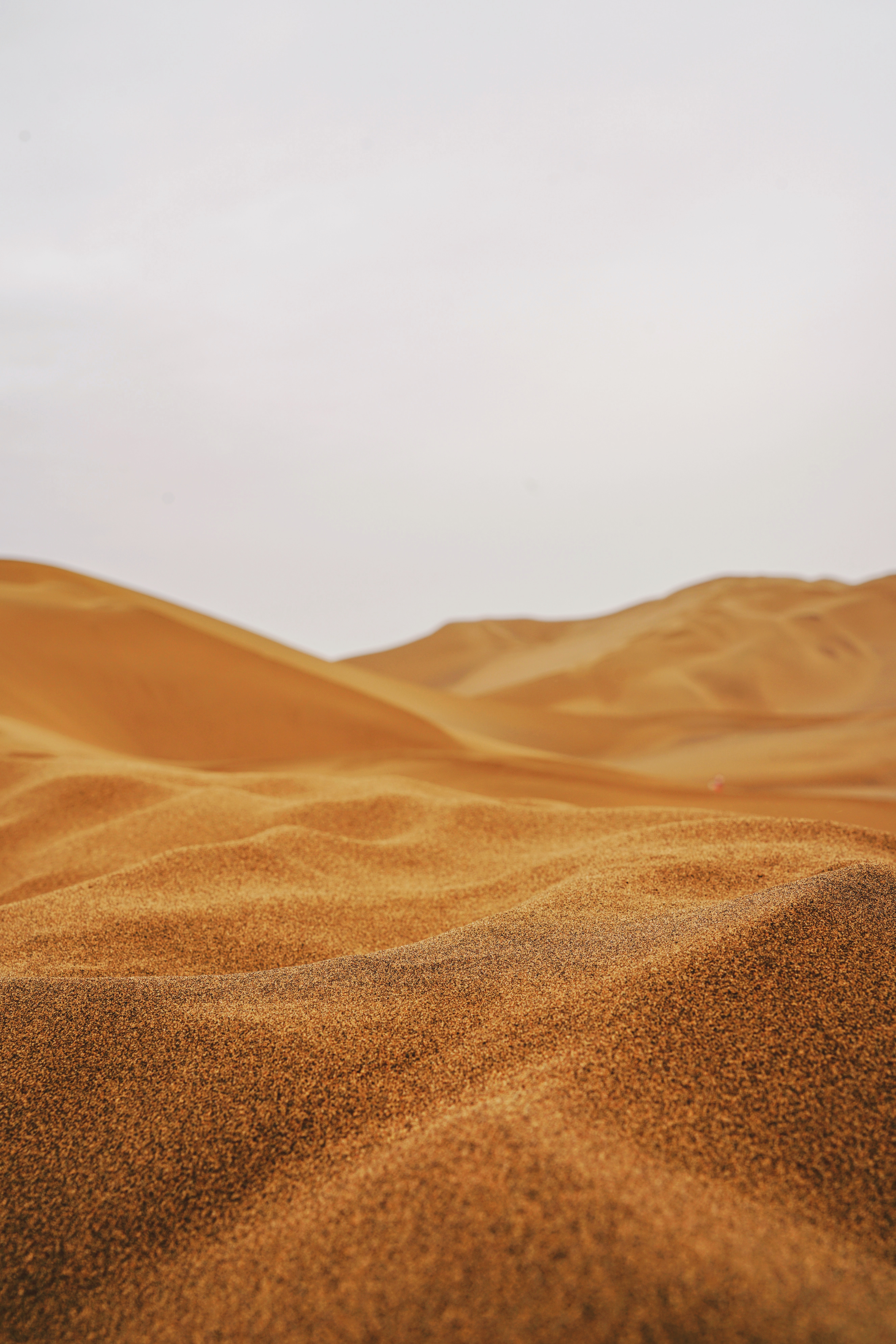 107592 télécharger le fond d'écran nature, sable, désert, dunes, liens, vallonné - économiseurs d'écran et images gratuitement