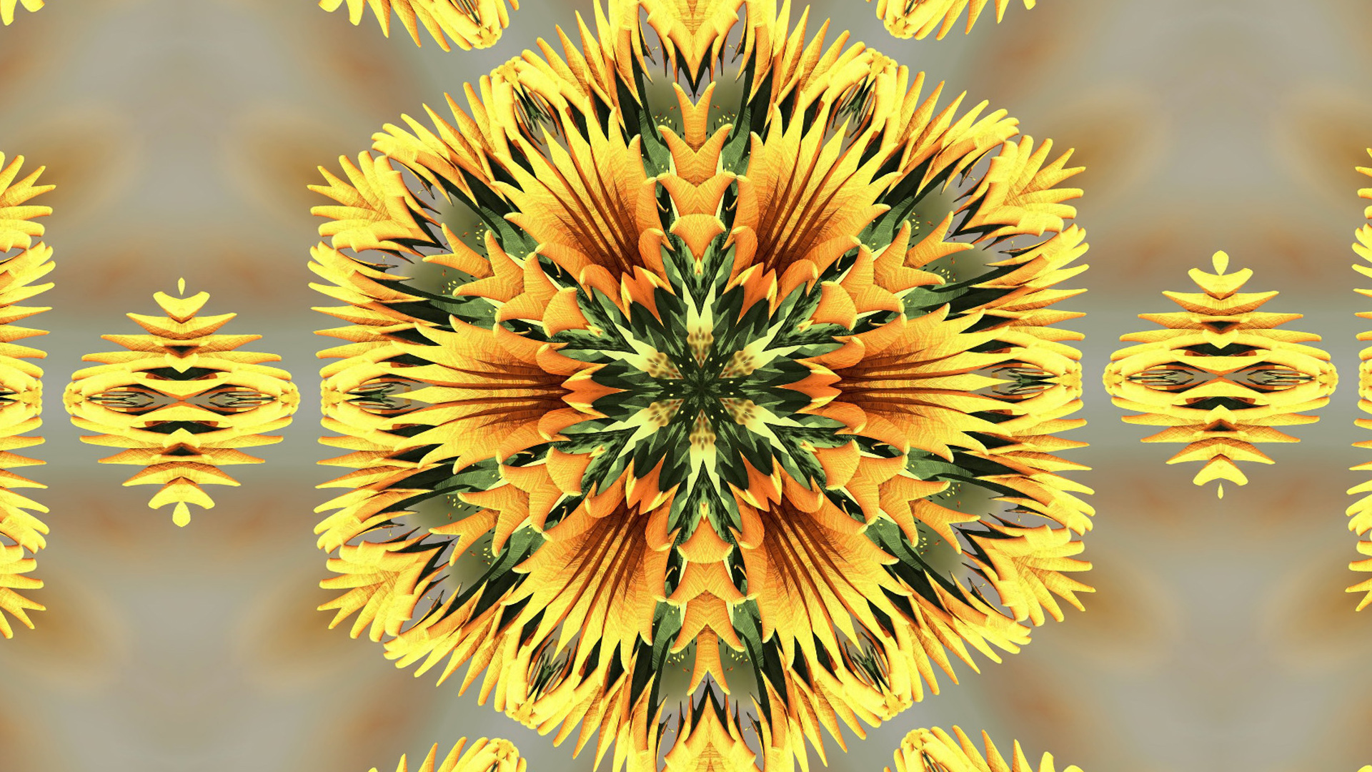 Free download wallpaper Abstract, Flower, Pattern, Colors, Kaleidoscope on your PC desktop