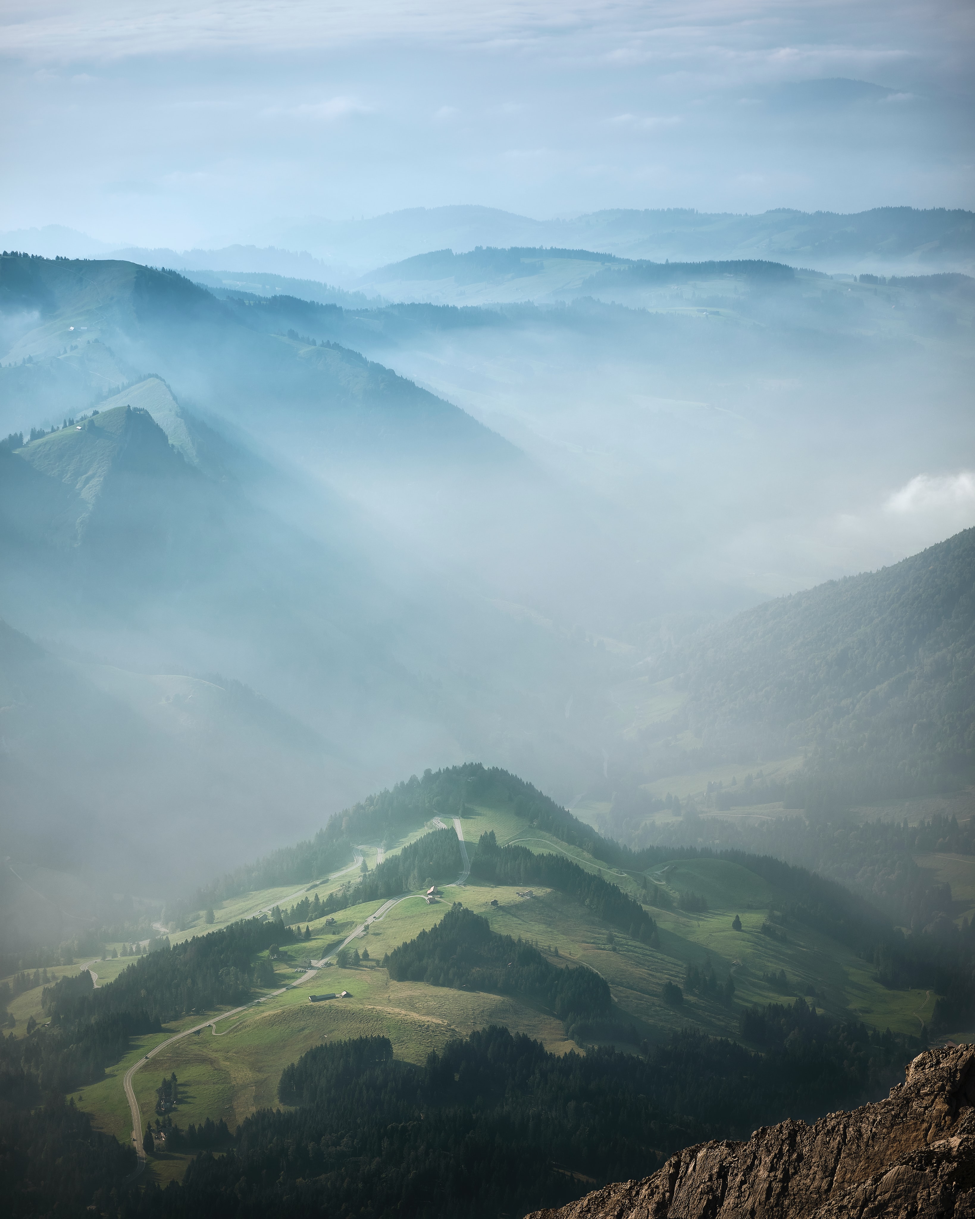 nature, trees, fog, relief, hills 1080p