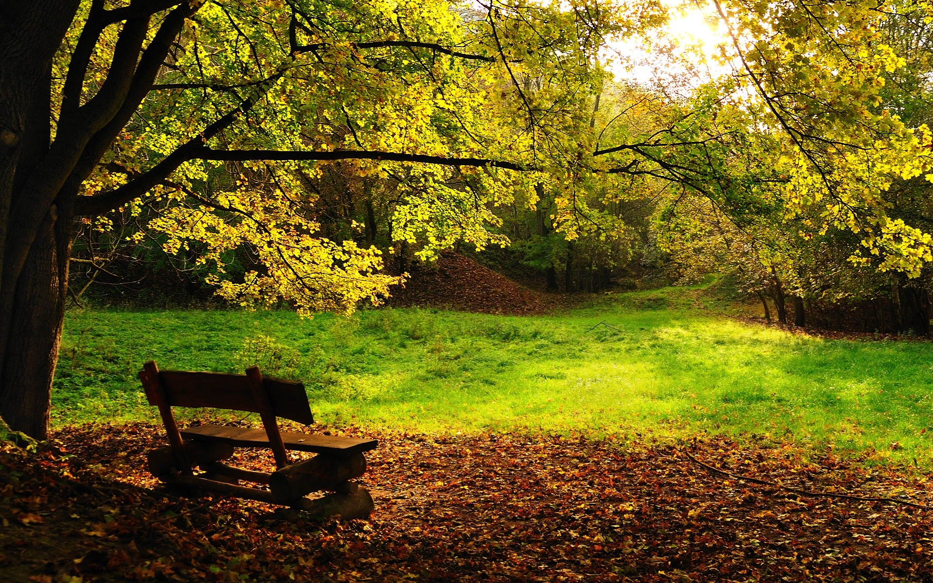 Download mobile wallpaper Bench, Photography, Fall for free.