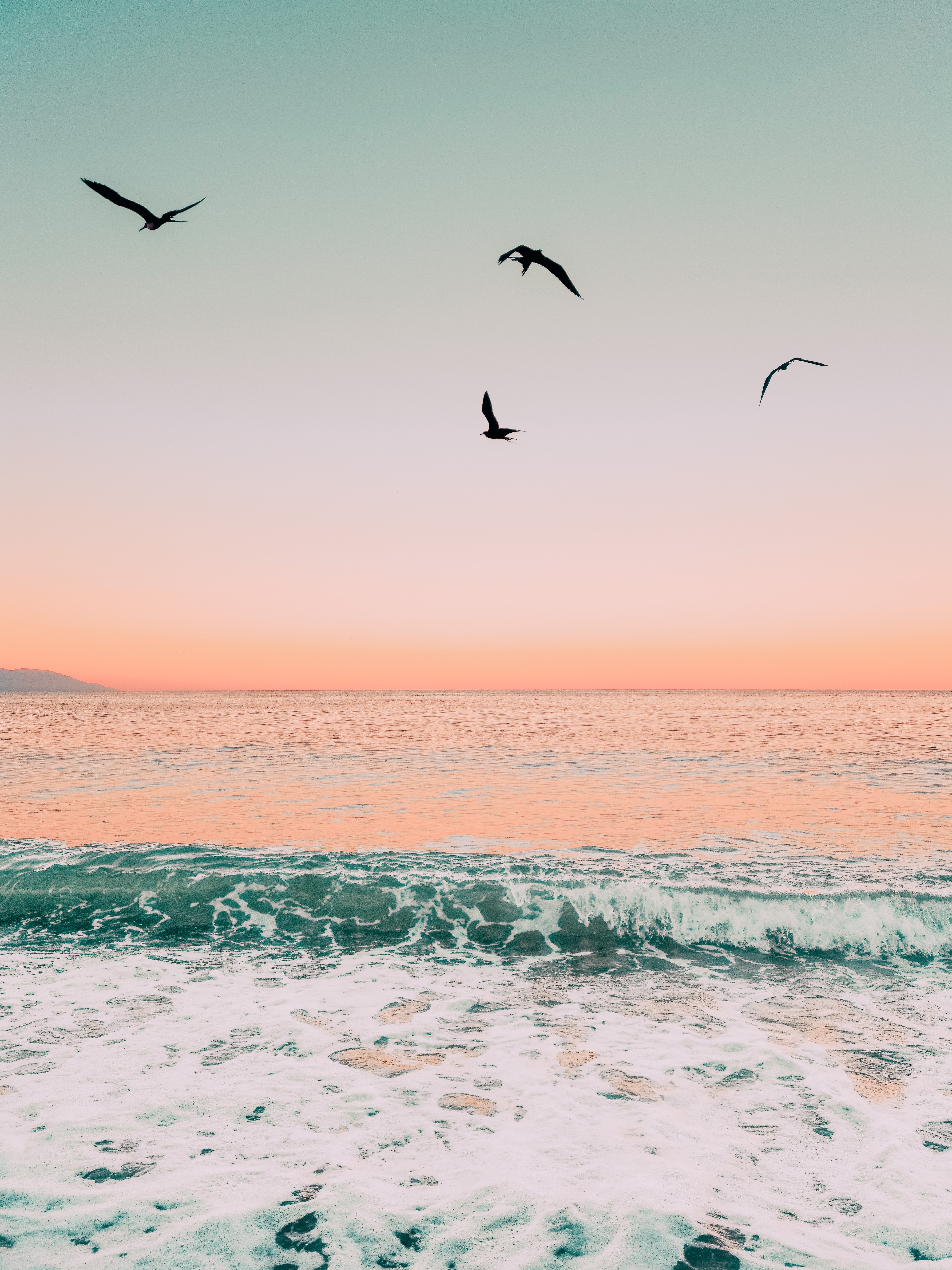 twilight, nature, birds, sea, waves, dusk desktop HD wallpaper