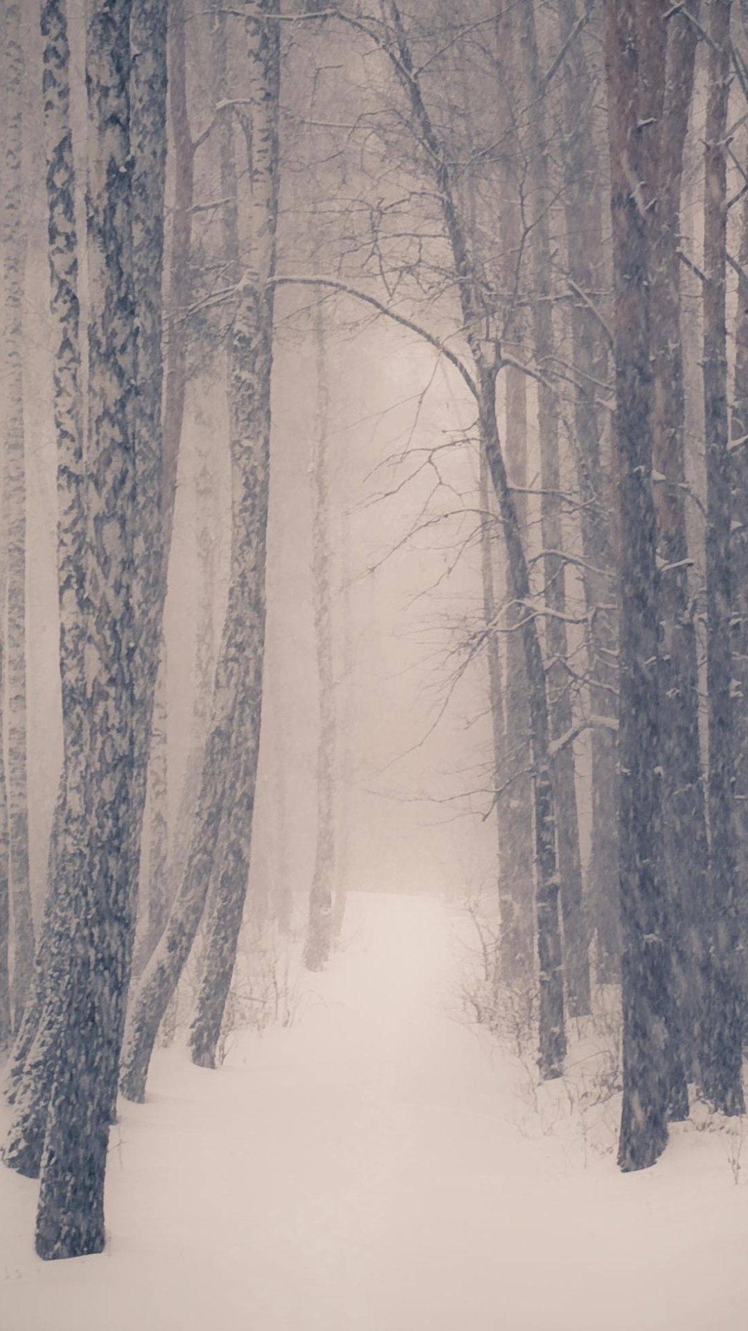 Descarga gratuita de fondo de pantalla para móvil de Invierno, Tierra/naturaleza.