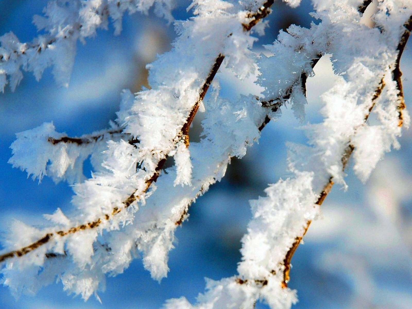 Descarga gratis la imagen Paisaje, Invierno, Nieve en el escritorio de tu PC