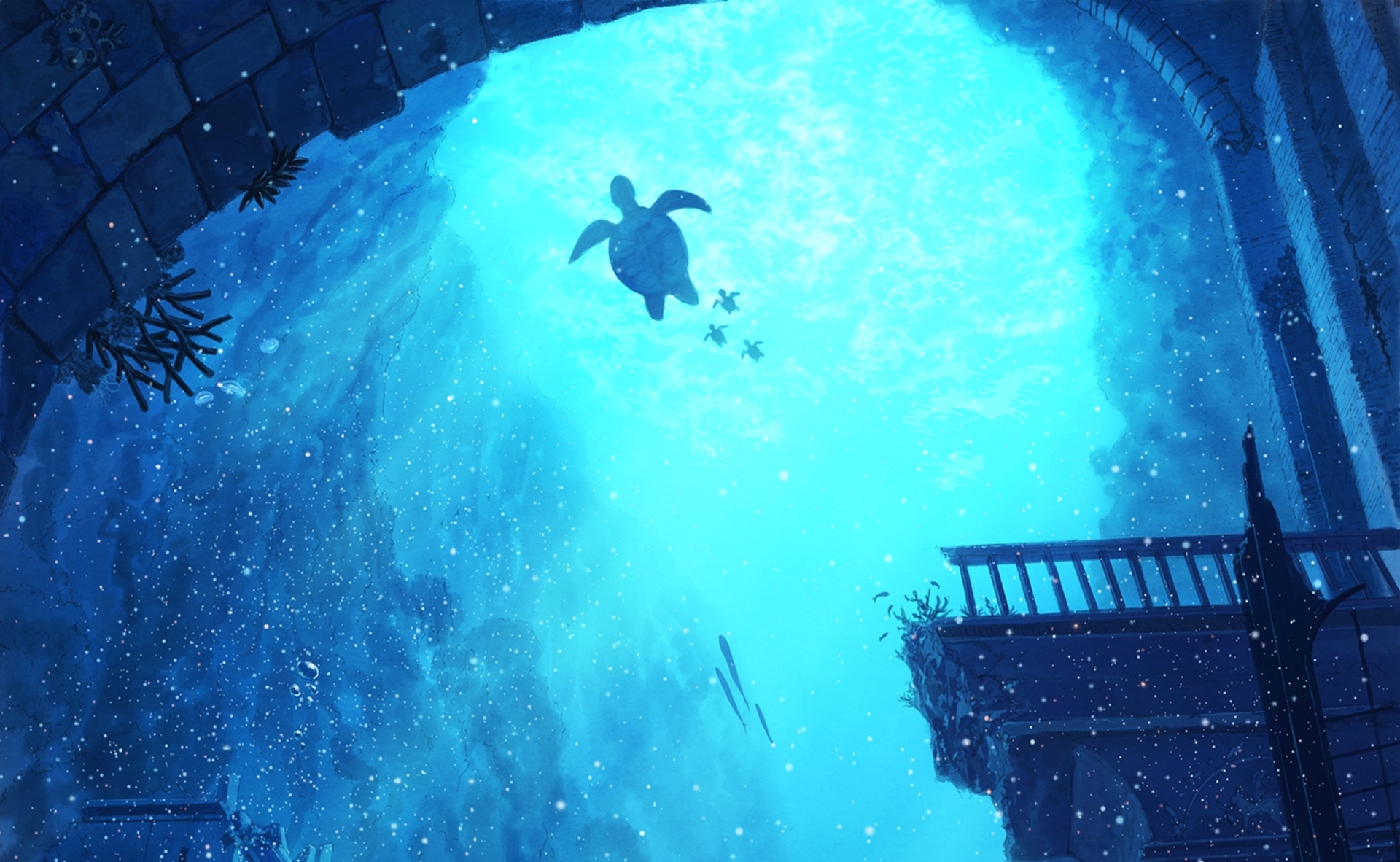 Free download wallpaper Anime, Underwater, Turtle on your PC desktop