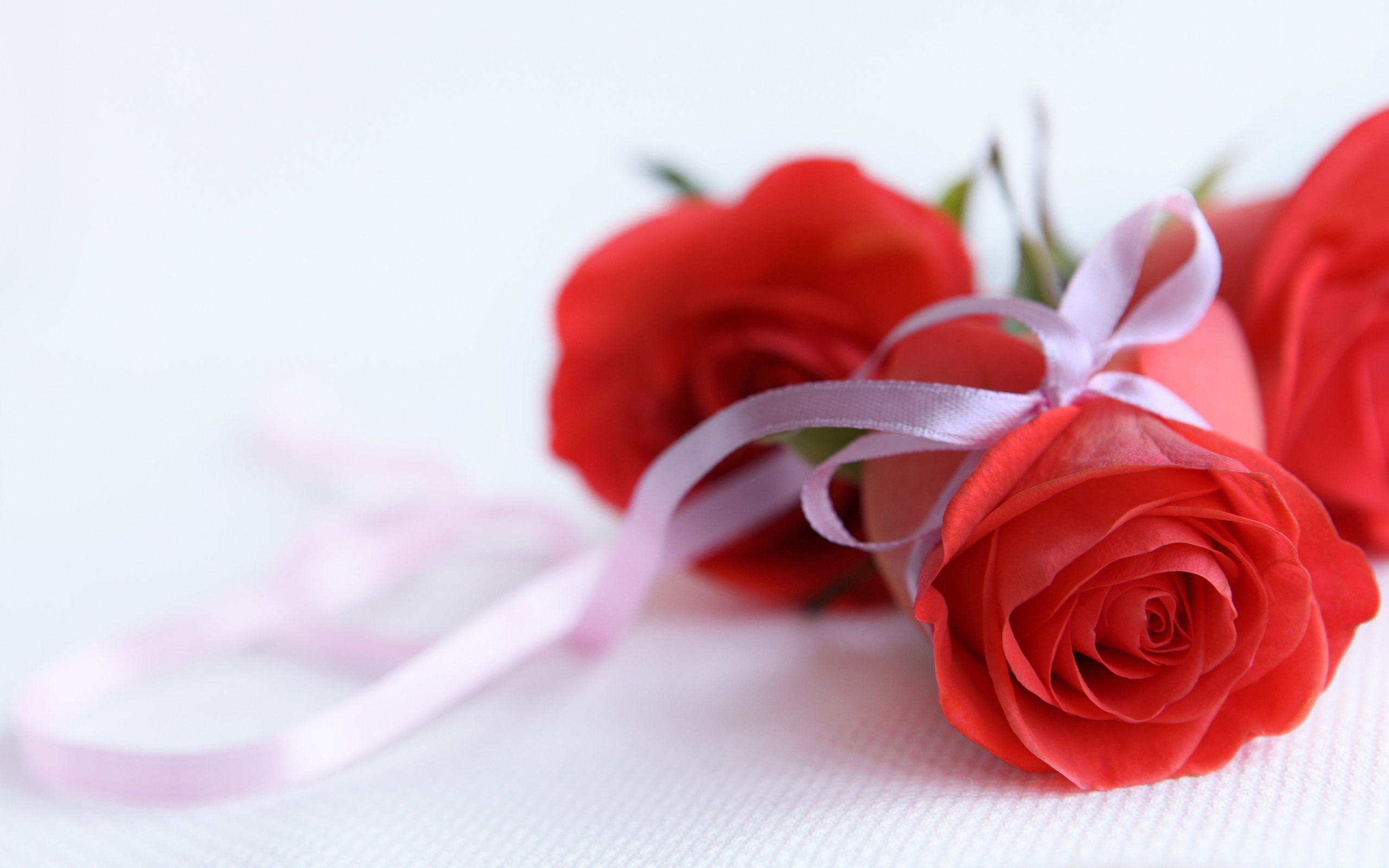 Baixar papel de parede para celular de Plantas, Flores, Rosas, Bouquets gratuito.