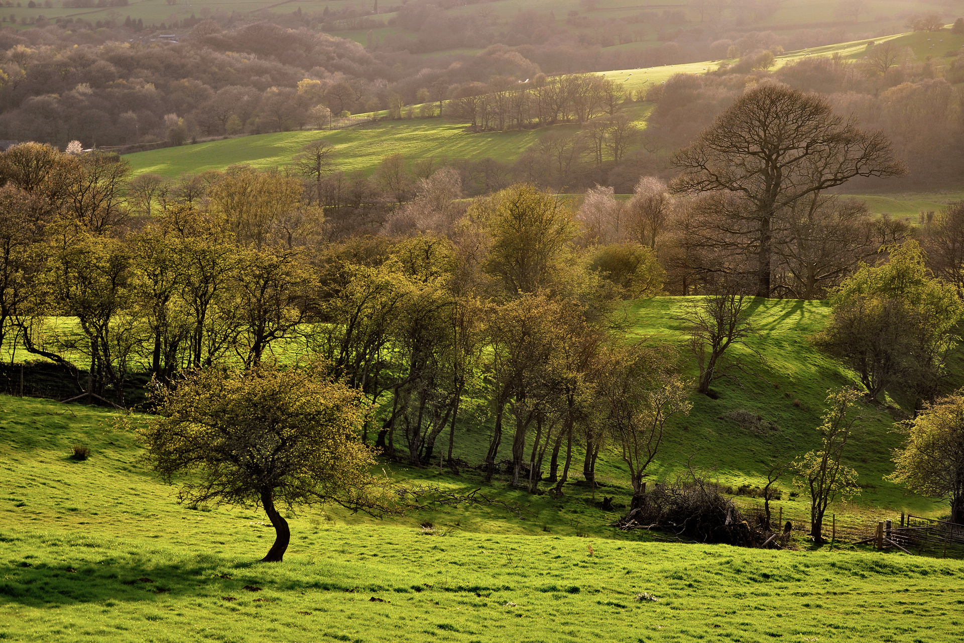 Free download wallpaper Landscape, Earth on your PC desktop