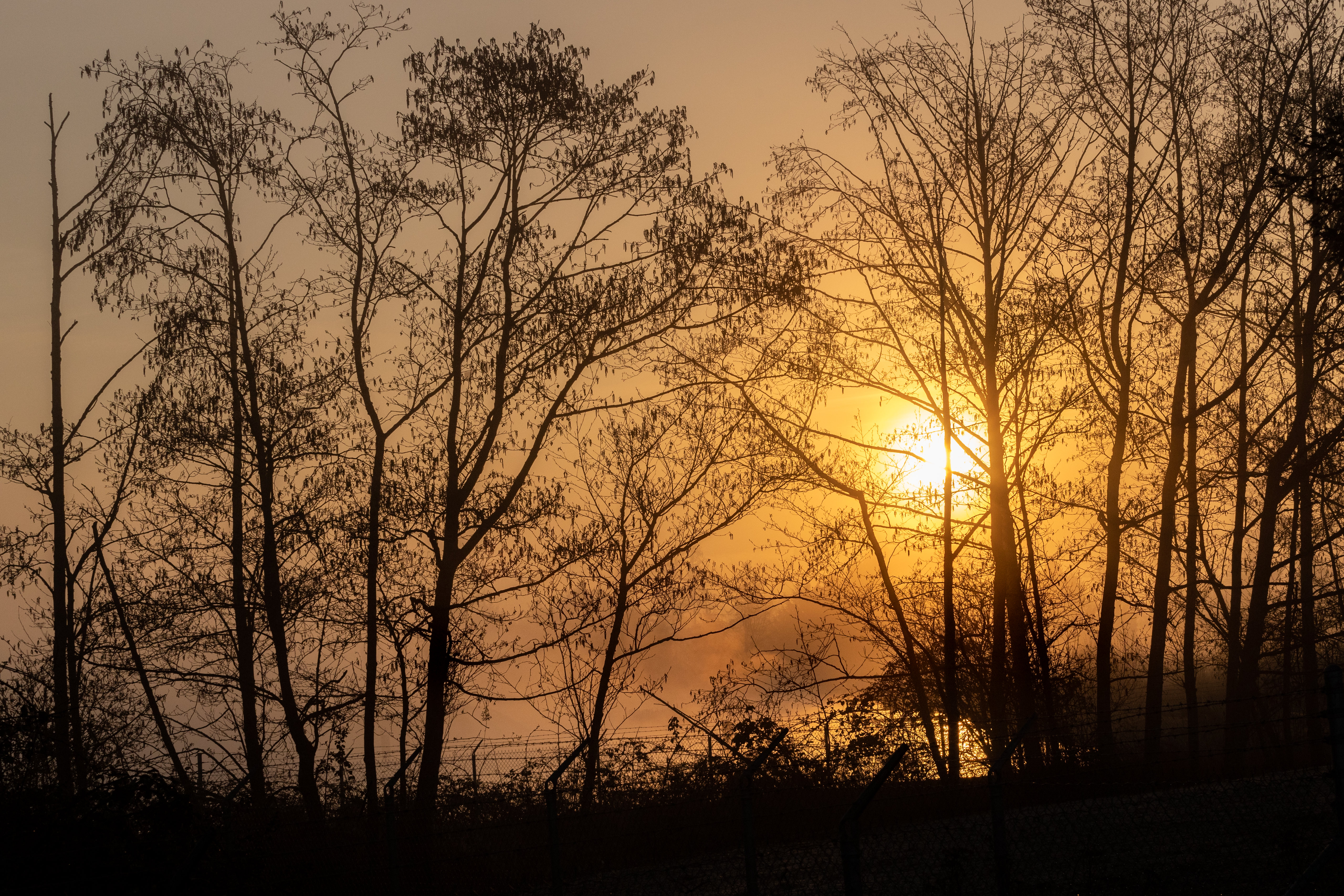 Free download wallpaper Nature, Trees, Sunset, Sun, Branches on your PC desktop