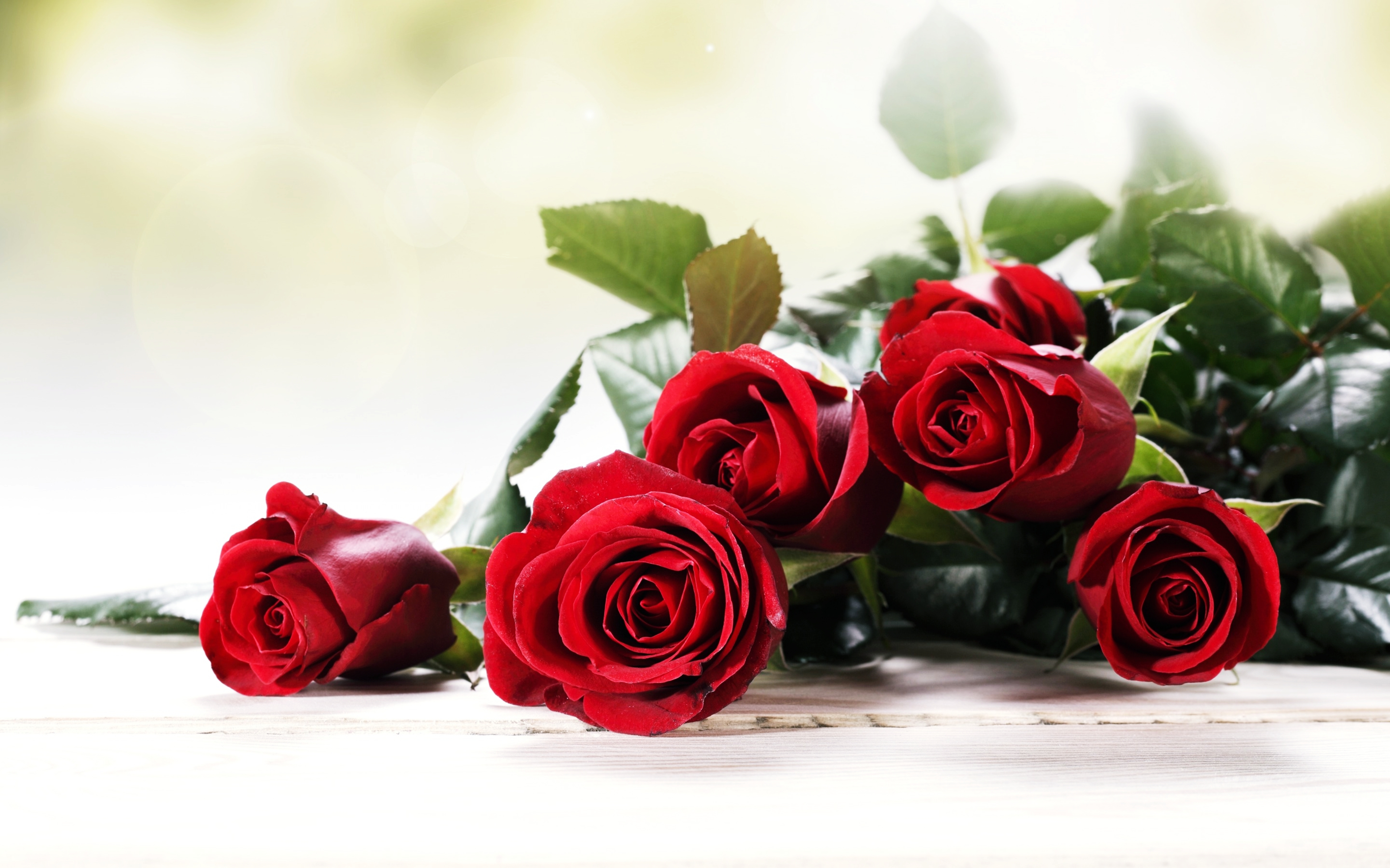 rose, bouquet, red rose, earth, flower, love, red flower, flowers
