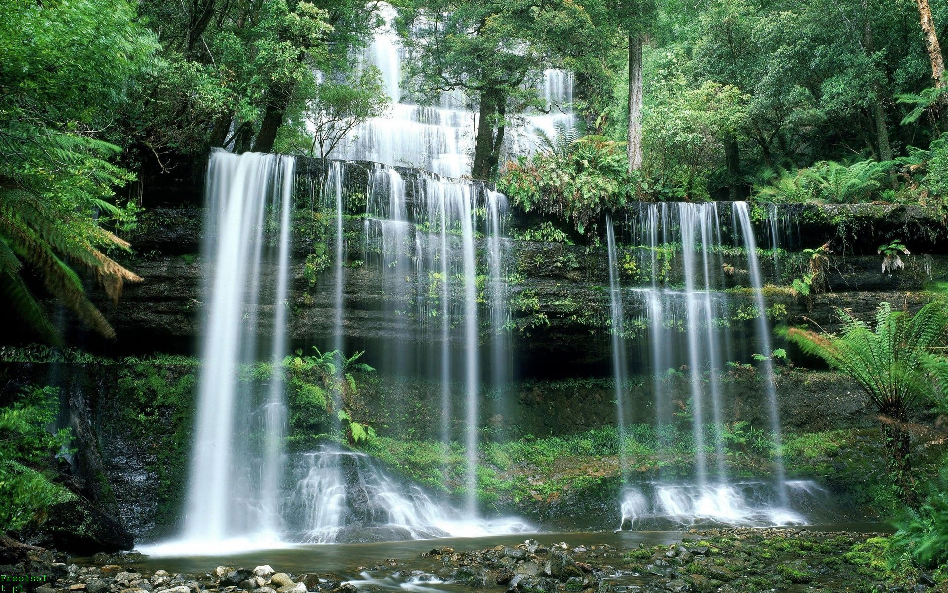 Free download wallpaper Waterfall, Fern, Earth, Tasmania on your PC desktop