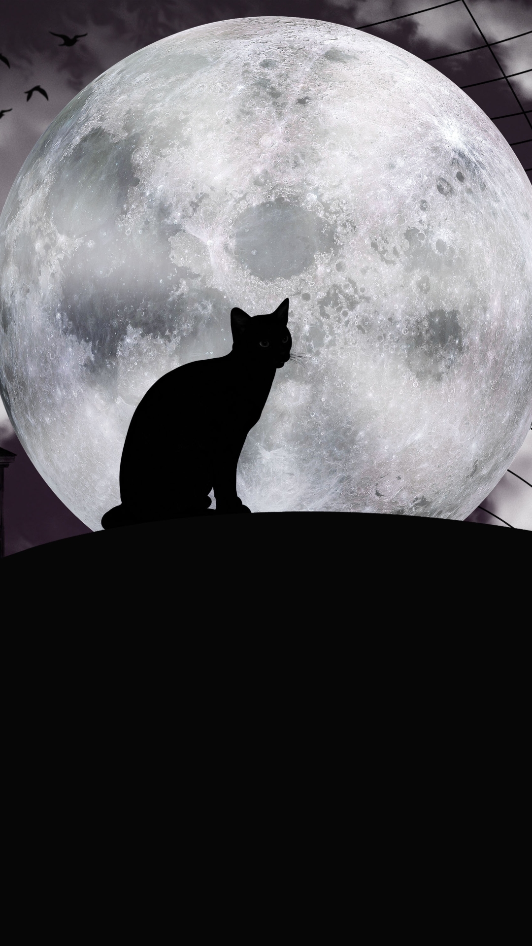 Download mobile wallpaper Halloween, Moon, Cat, Holiday for free.