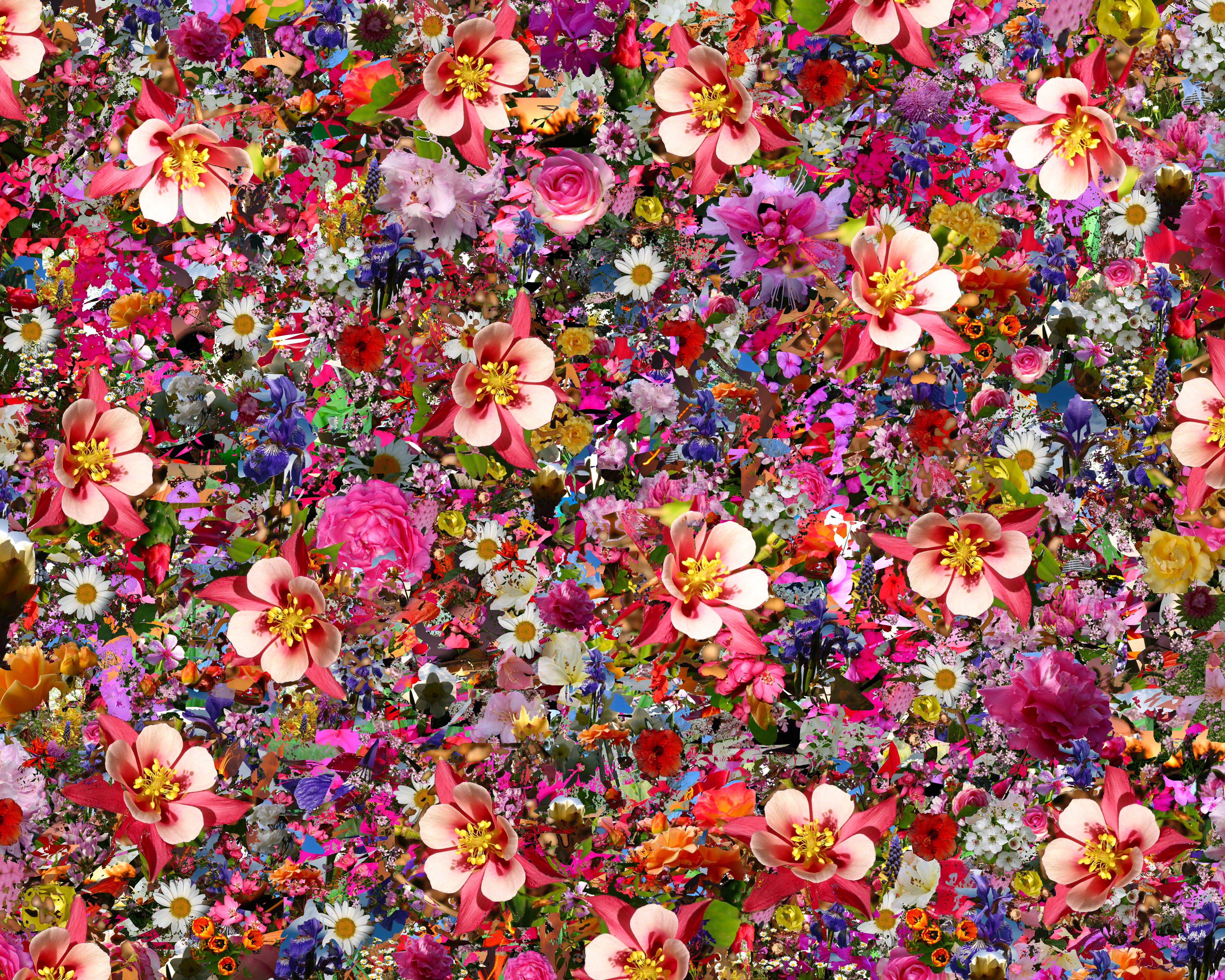 Handy-Wallpaper Blumen, Blume, Farben, Bunt, Künstlerisch kostenlos herunterladen.