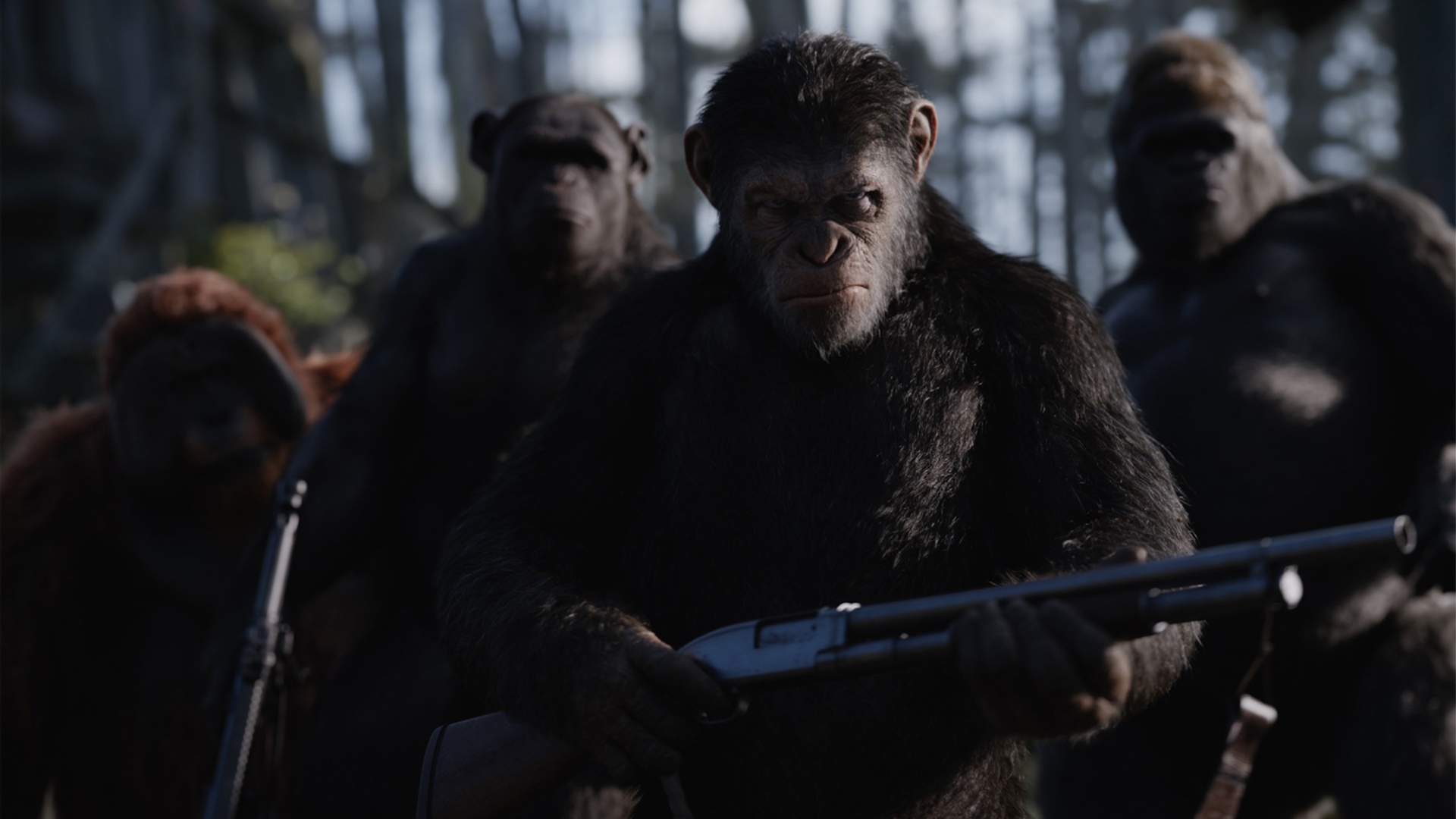 840762 télécharger l'image film, guerre pour la planète des singes, césar (planète des singes) - fonds d'écran et économiseurs d'écran gratuits