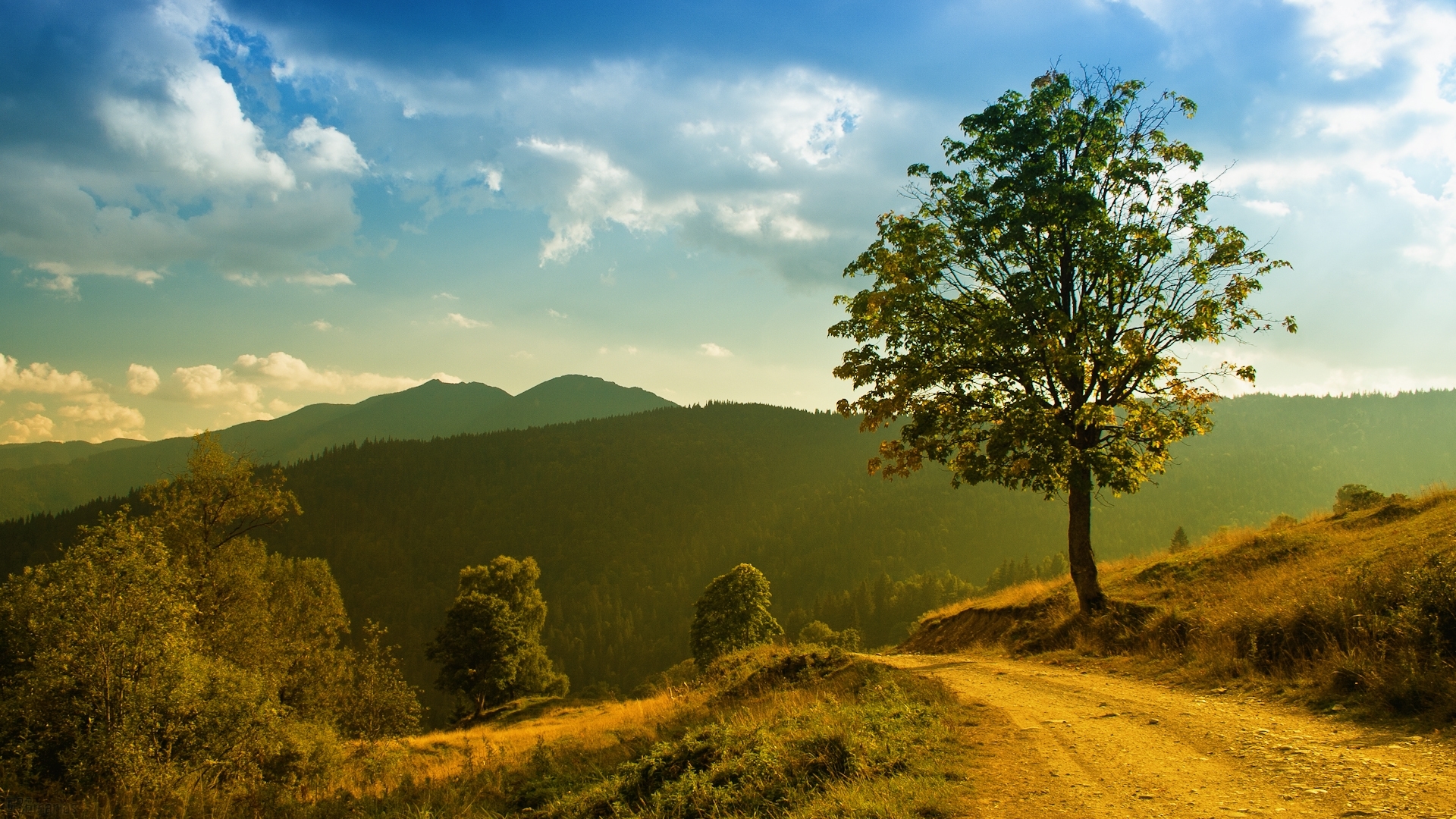 Free download wallpaper Landscape, Trees, Roads on your PC desktop