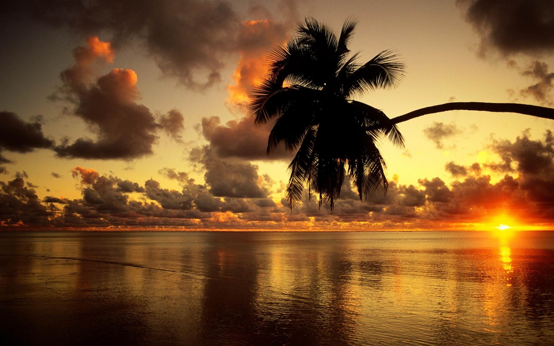 Скачать картинку Тропический, Земля/природа, Закат Солнца в телефон бесплатно.