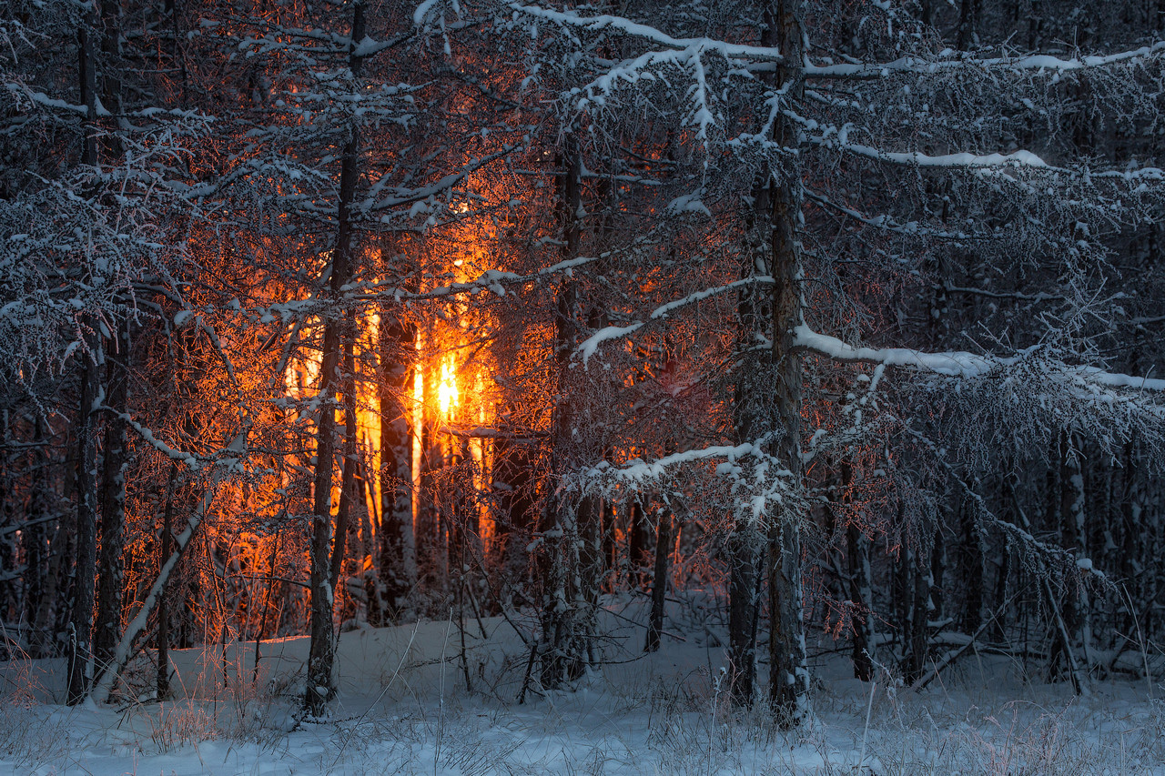 Descarga gratis la imagen Atardecer, Tierra/naturaleza en el escritorio de tu PC