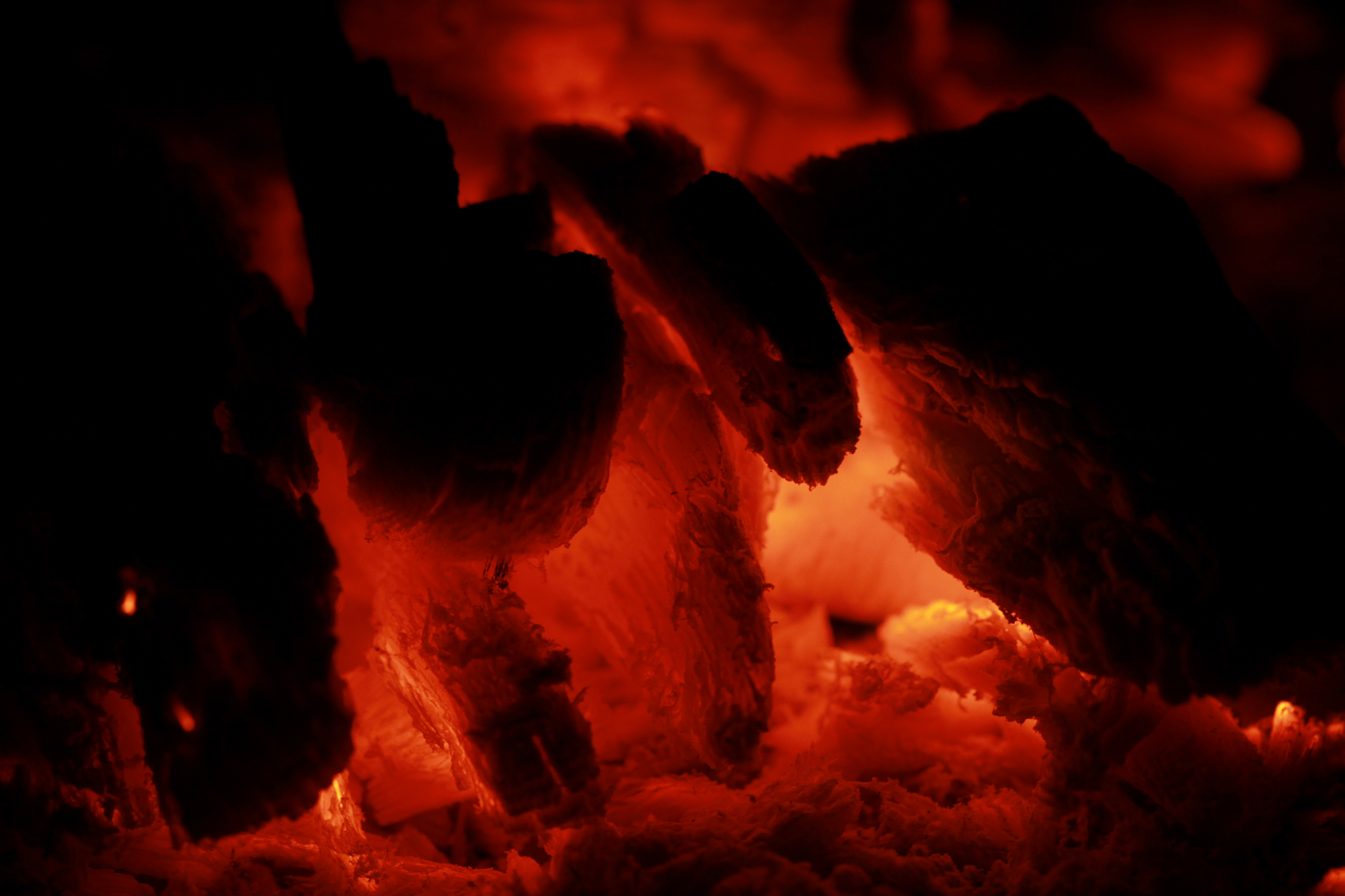 bonfire, fire, coals, macro, ash, smoldering, smouldering